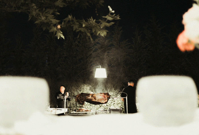 gif8.gif