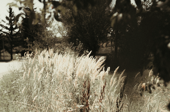 gif1.gif