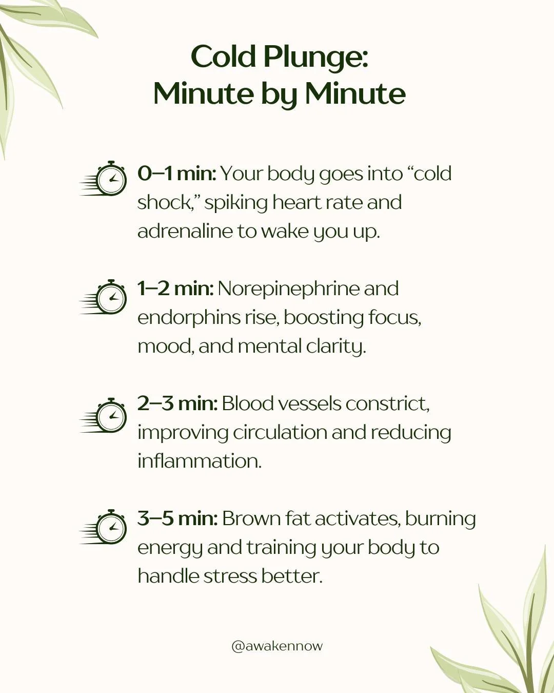 Ever wonder what&rsquo;s really happening in your body during a cold plunge? Science shows that each minute brings a different benefit.

Research links cold exposure to better focus, reduced inflammation, improved circulation, and metabolic support. 
