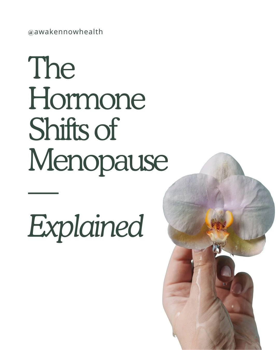 Menopause isn&rsquo;t a loss, it&rsquo;s a shift in biology that asks for new rhythms. 

This transition isn&rsquo;t an ending; it&rsquo;s a recalibration. As estrogen and progesterone naturally decline, your body starts rewriting how it uses energy,