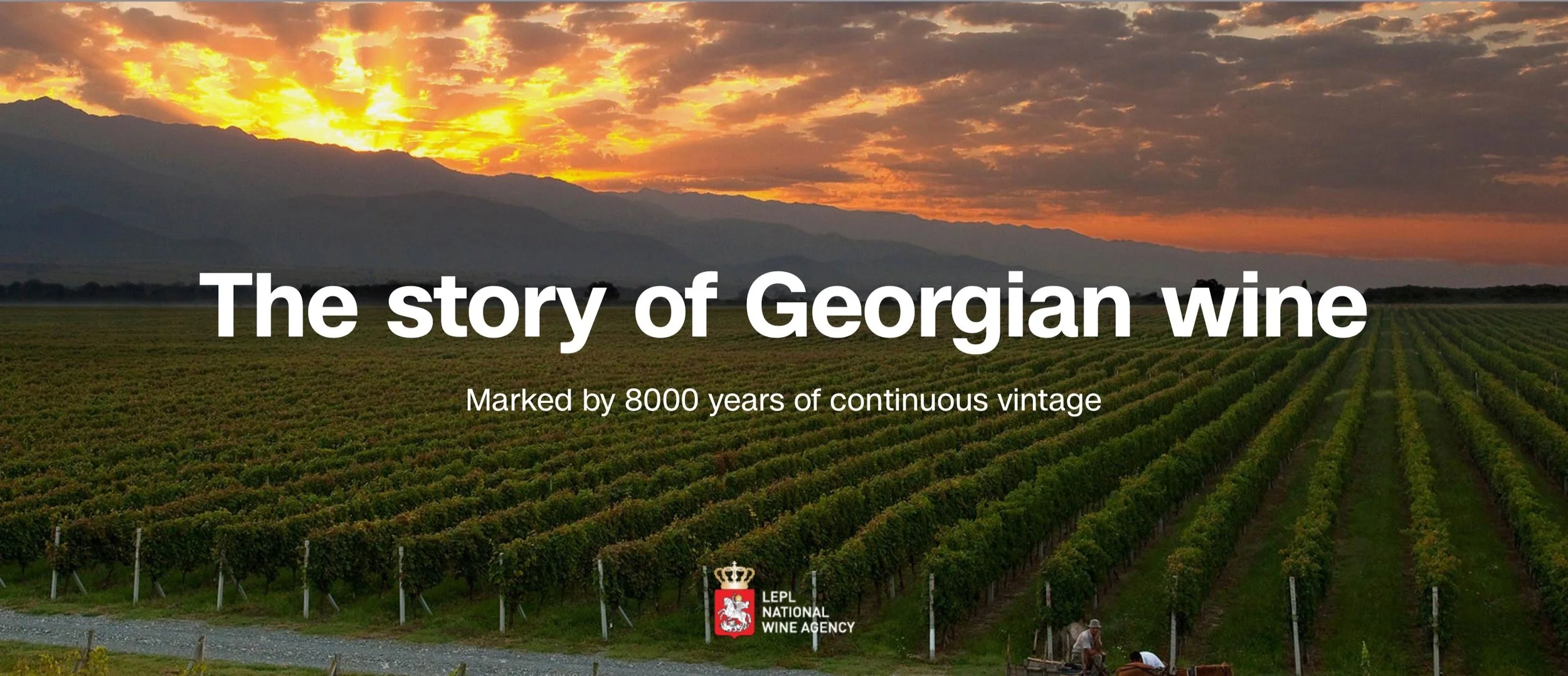 Screenshot 2024-01-16 at 12.21.05.jpg