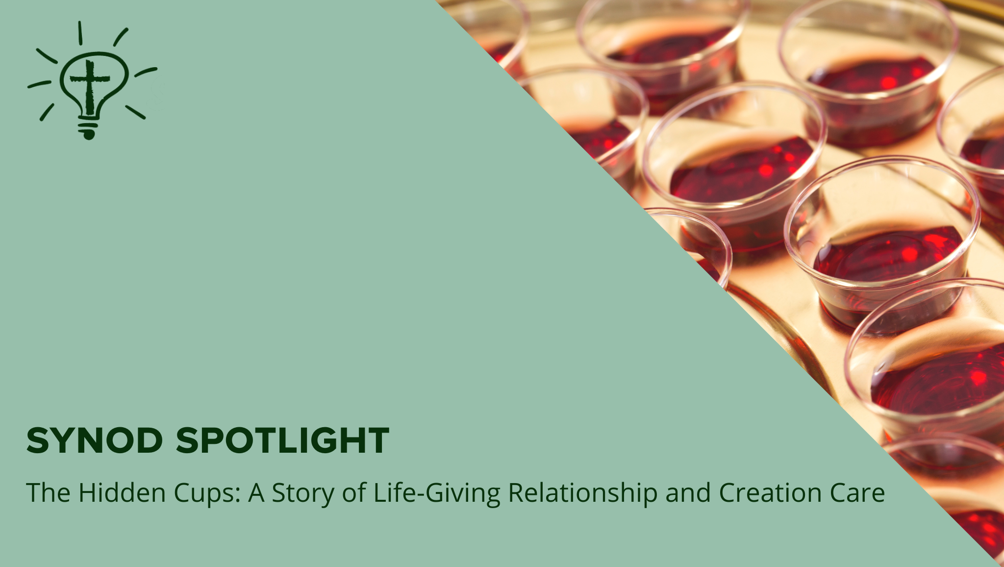 🌿 The Hidden Cups: A Story of Life-Giving Relationship and Creation Care