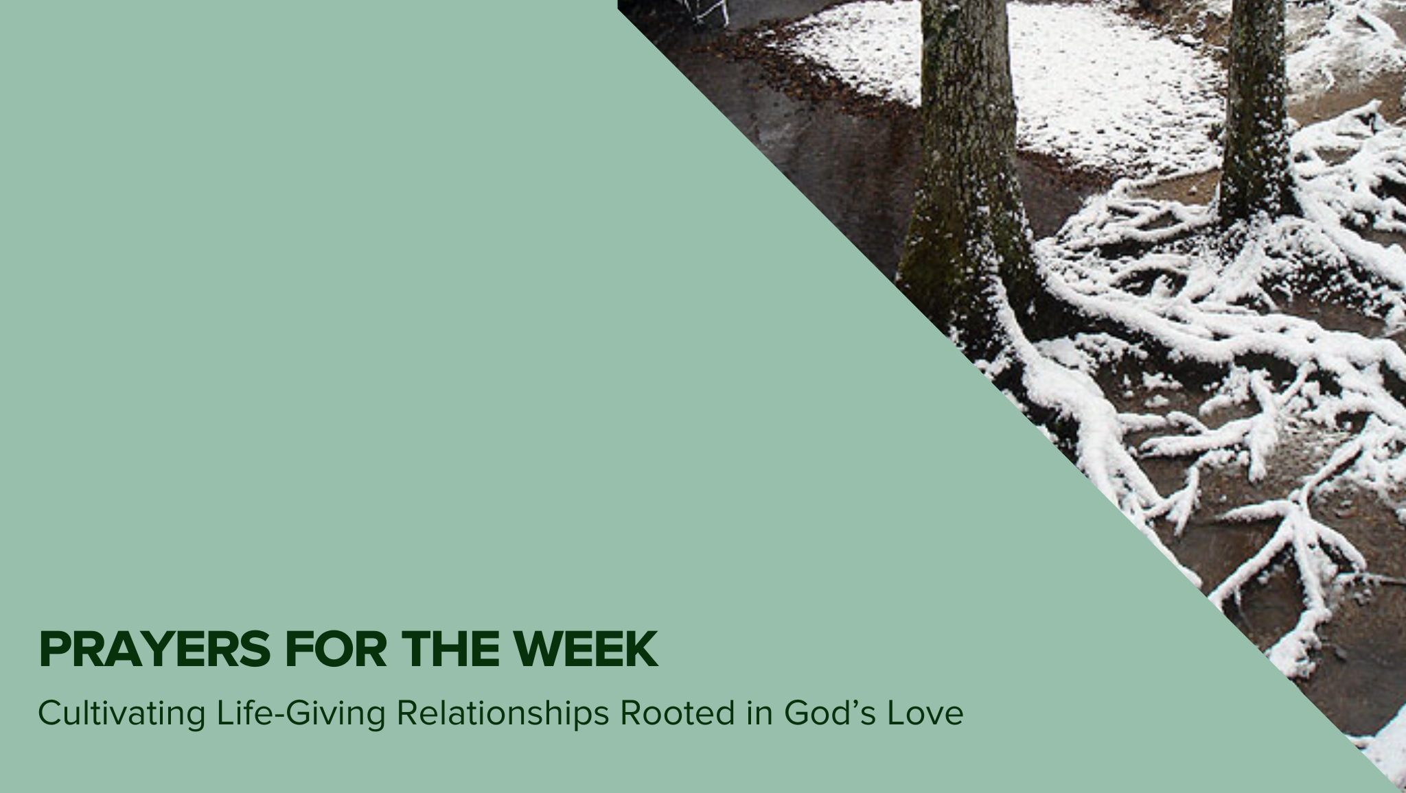 Prayers for the Week