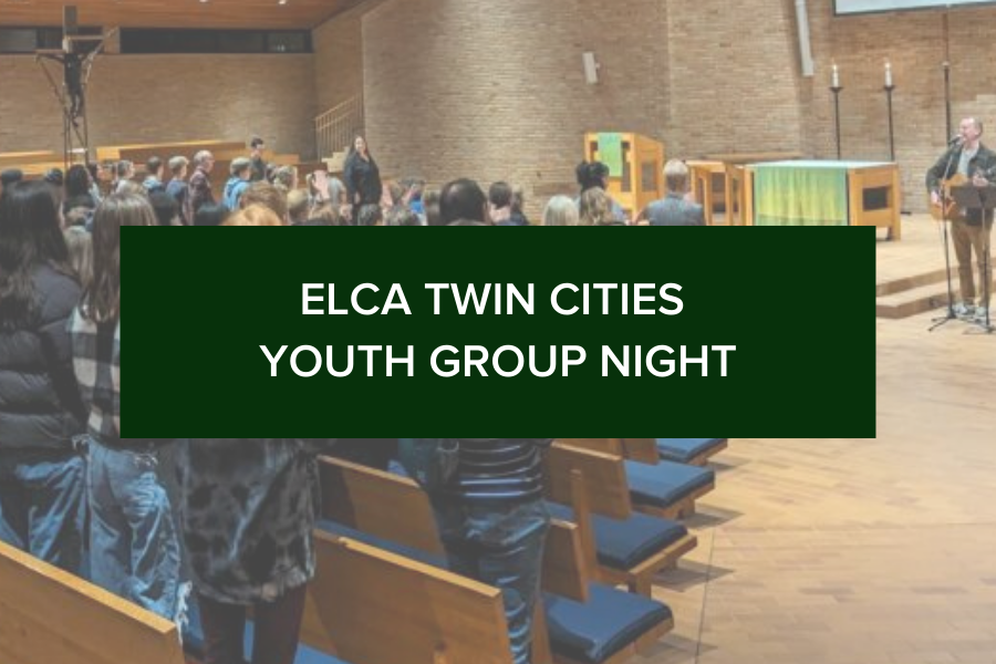 ELCA Twin Cities Youth Group Night