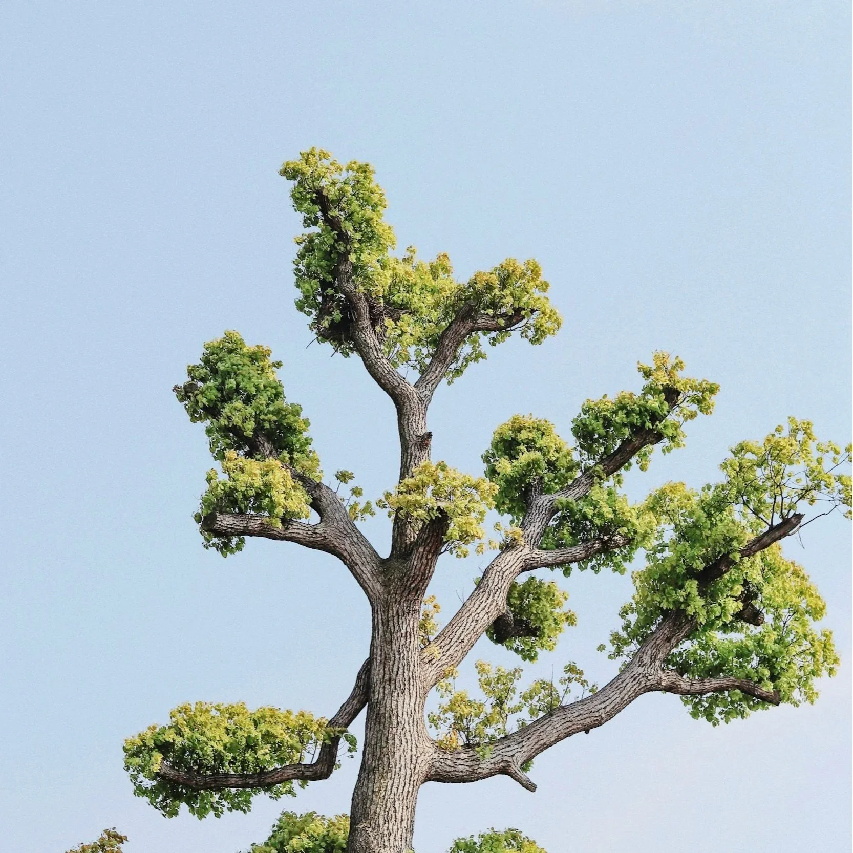 Add Organization Name Here