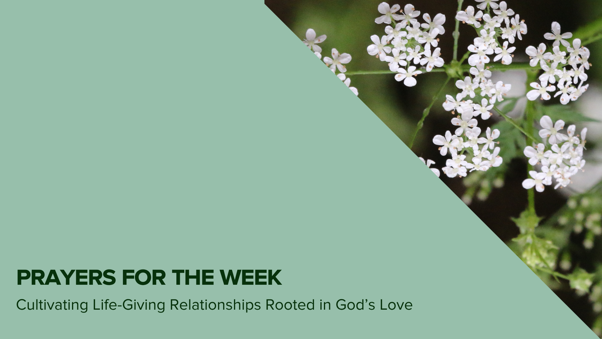 Prayers for the Week