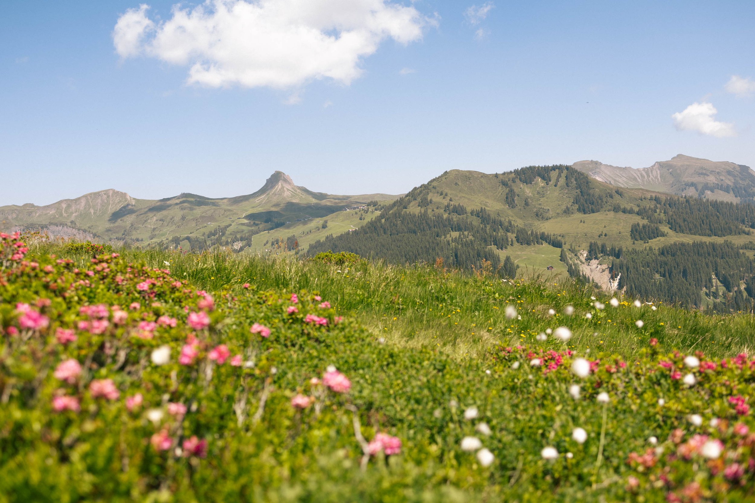 caroline-rubik-cabinski-walsertal-44.jpg