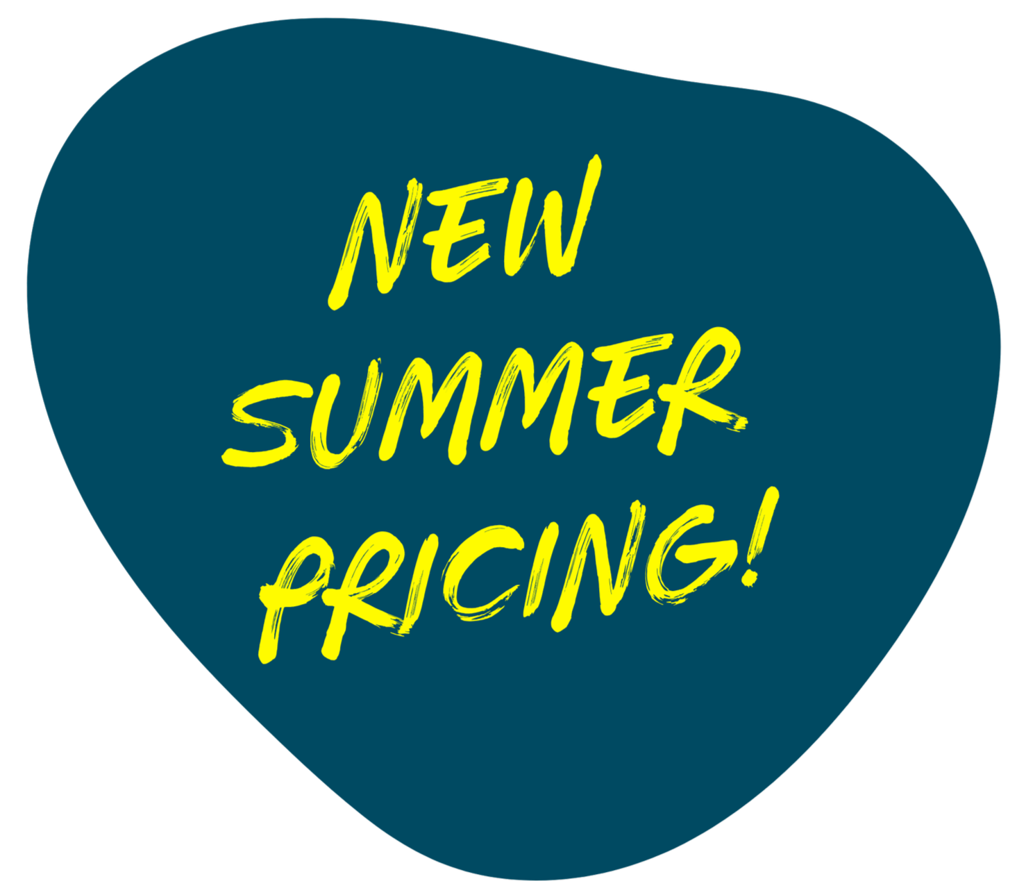 A dark teal rock with yellow handwritten text that reads 'NEW SUMMER PRICING!'.