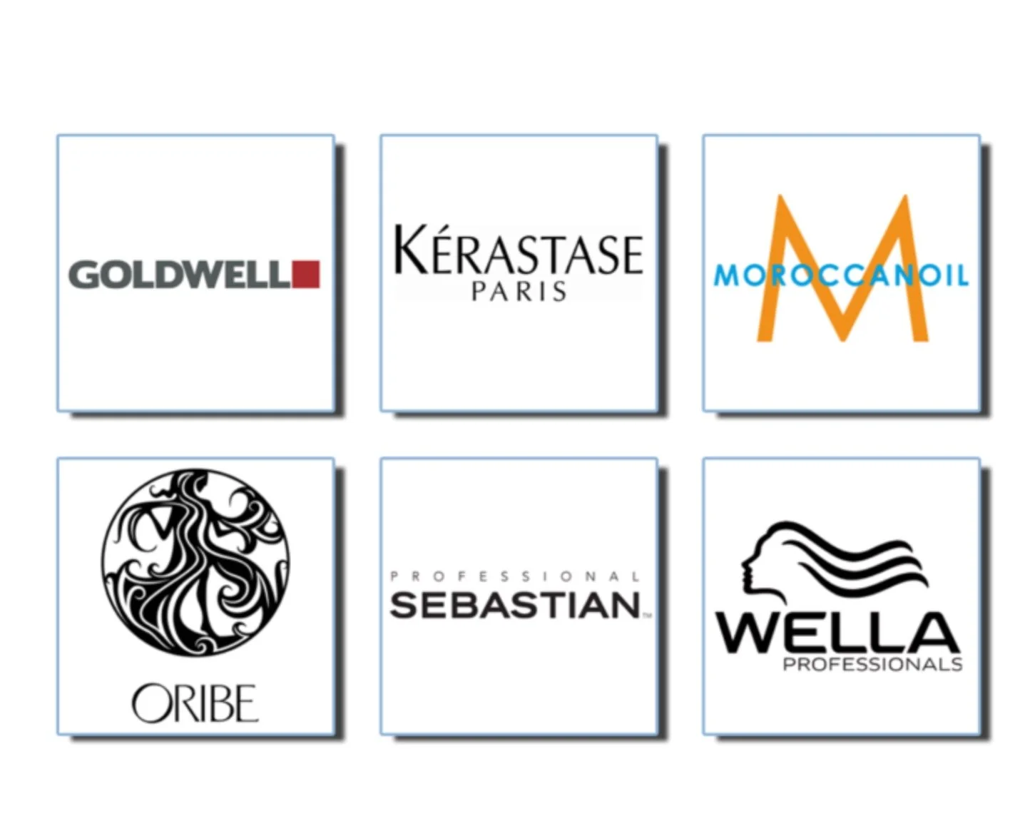 Logos of six hair care brands: Goldwell, Kérastase Paris, Moroccanoil, Oribe, Sebastian Professional, and Wella Professionals.