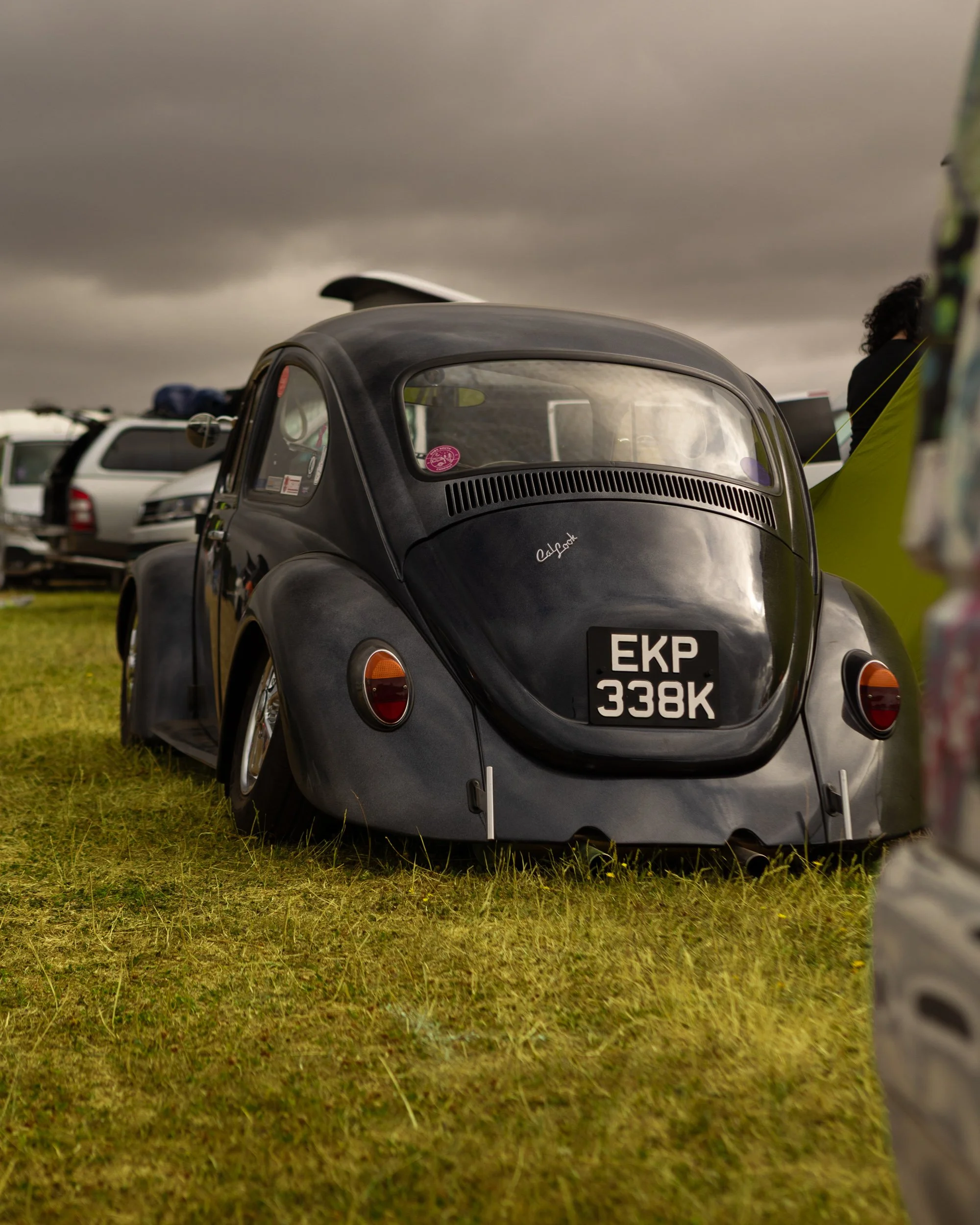 DSC_2026_338.jpg