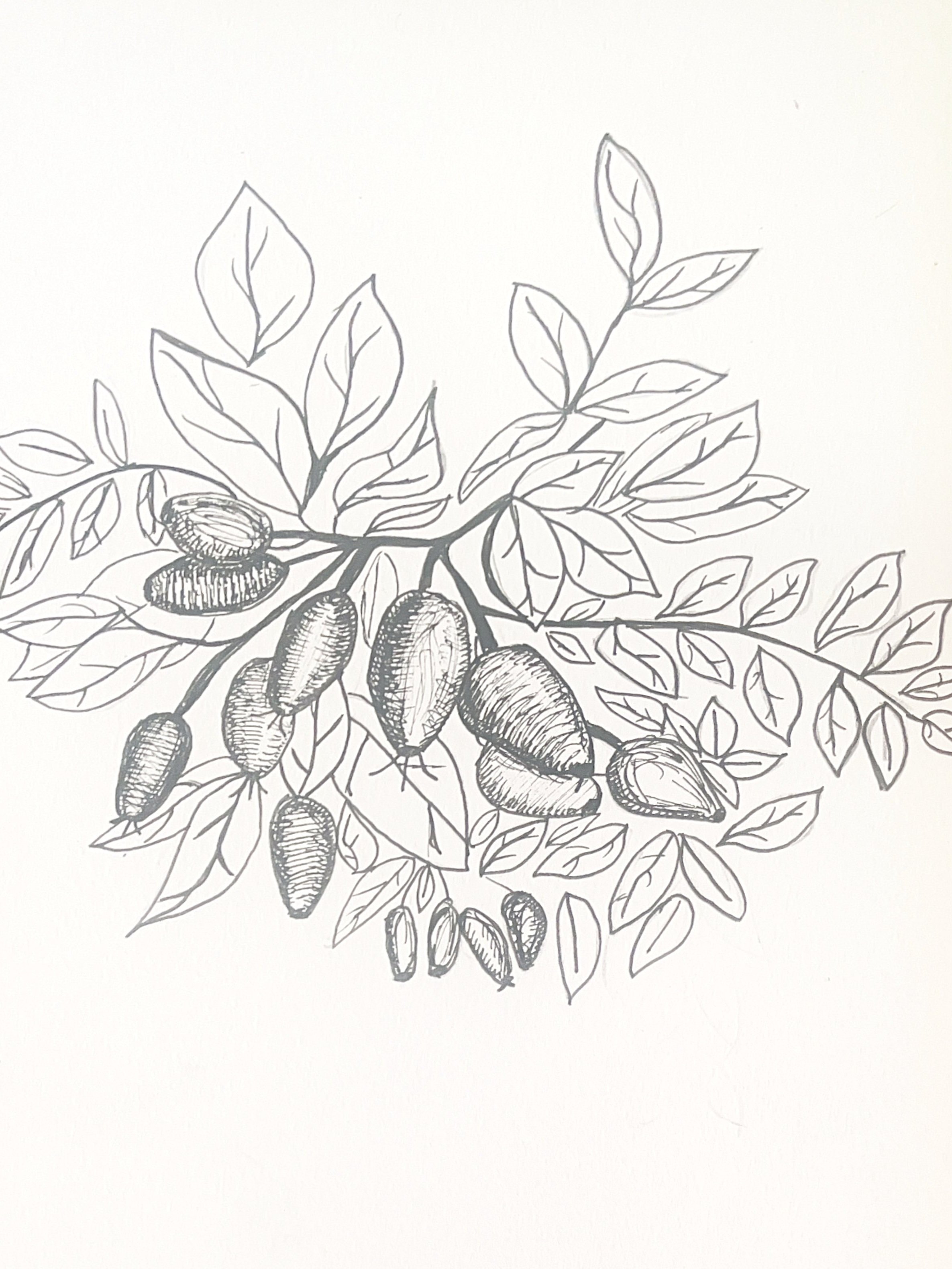 Rosehips
