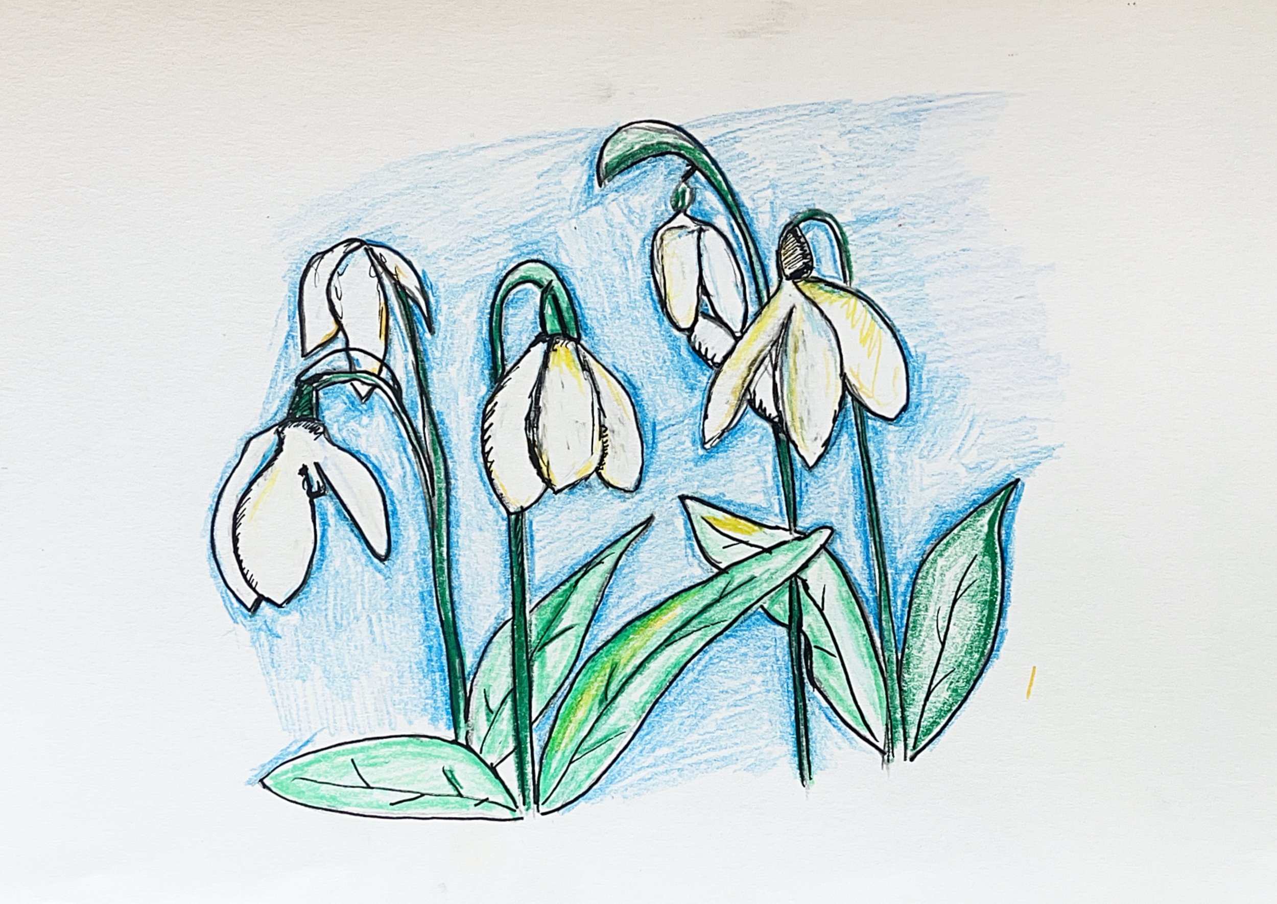 Signs of Spring