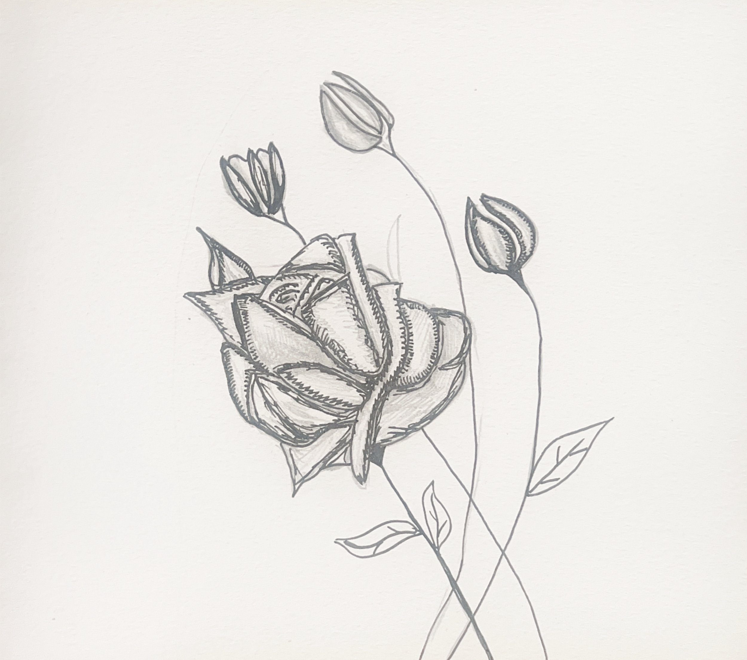 Summer Rose