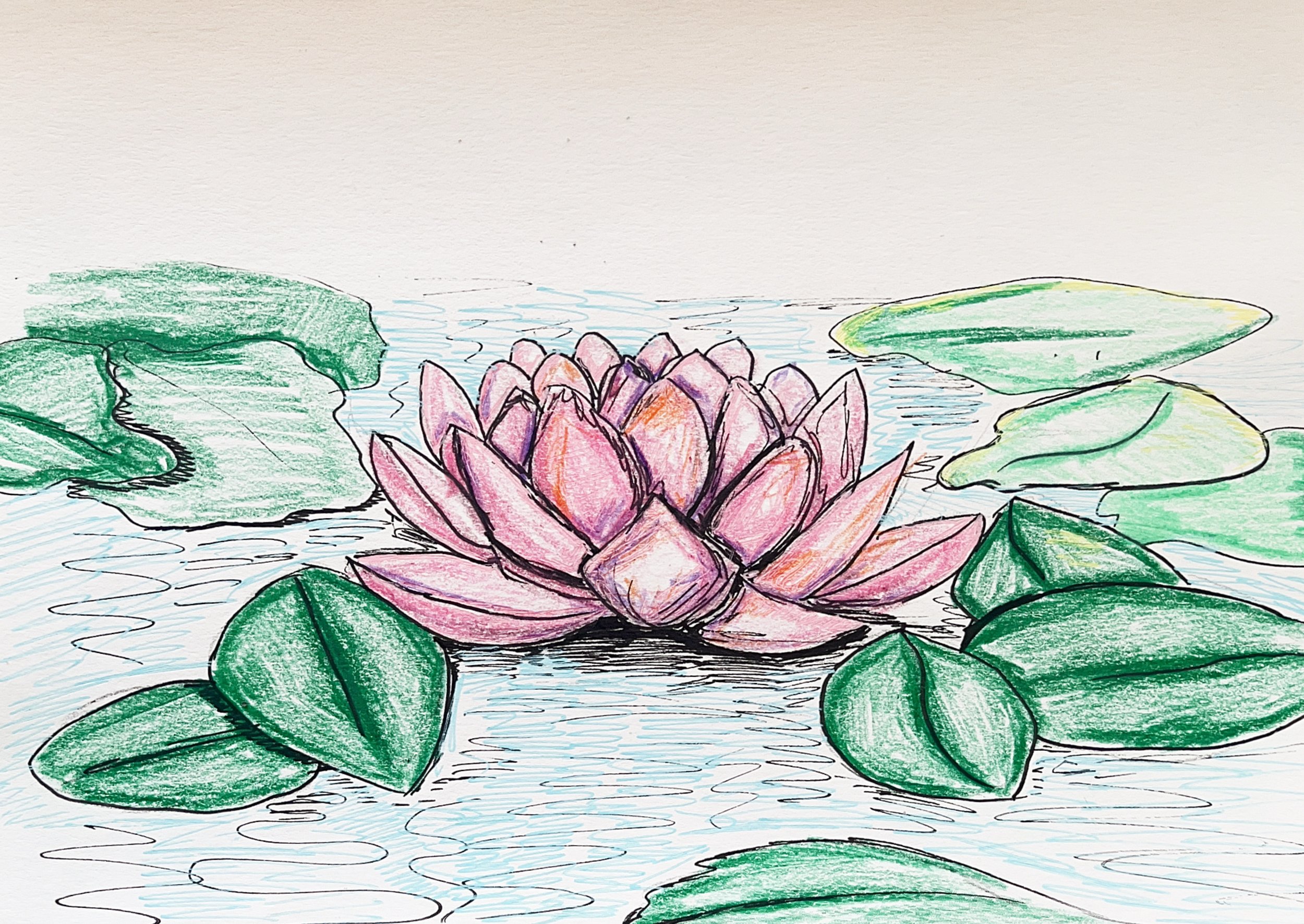 Lotus Flower