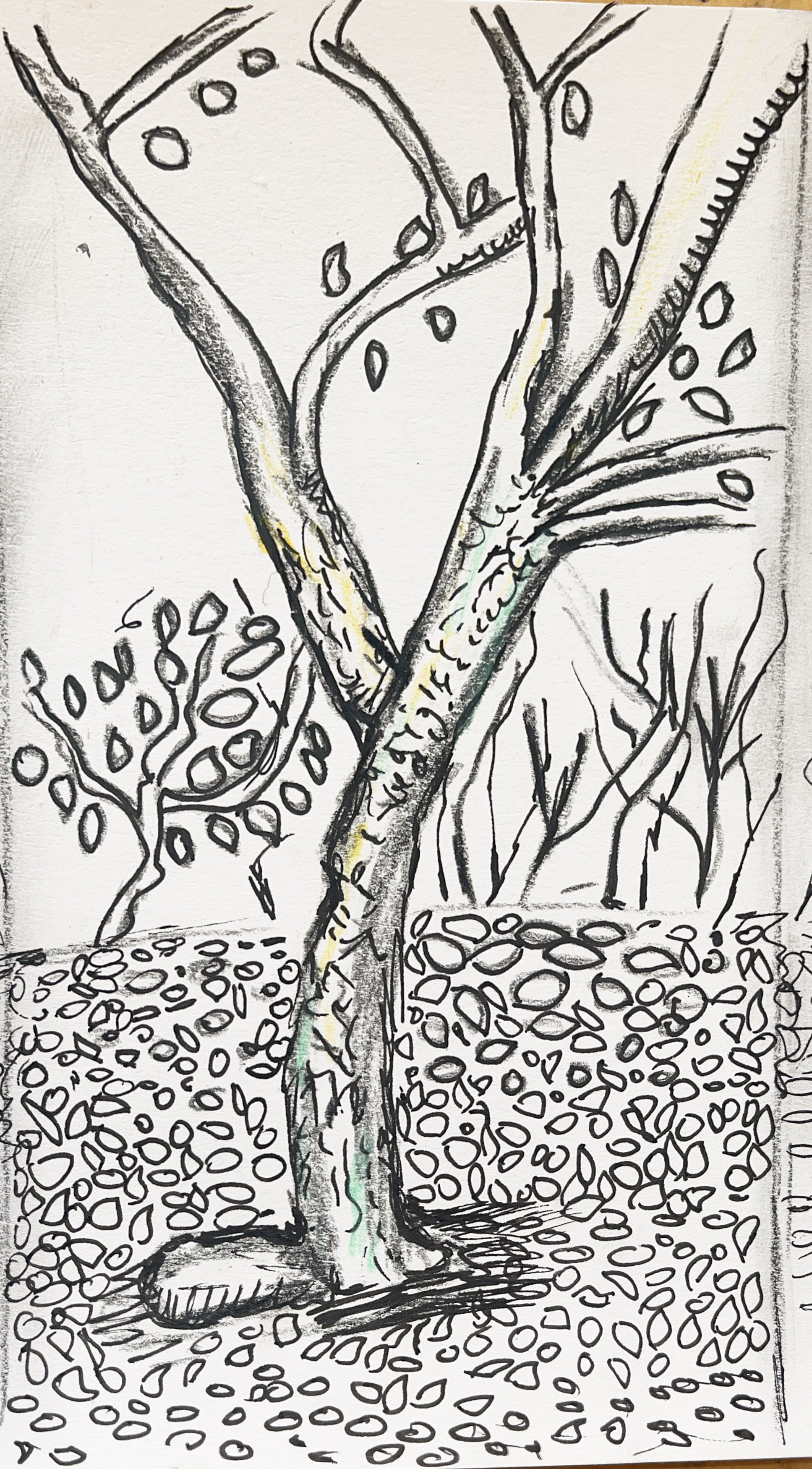 Twisted Tree