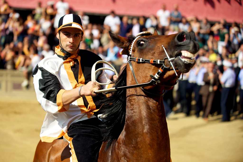 Palio Di Siena  July 2, 2023 and August 16, 2023