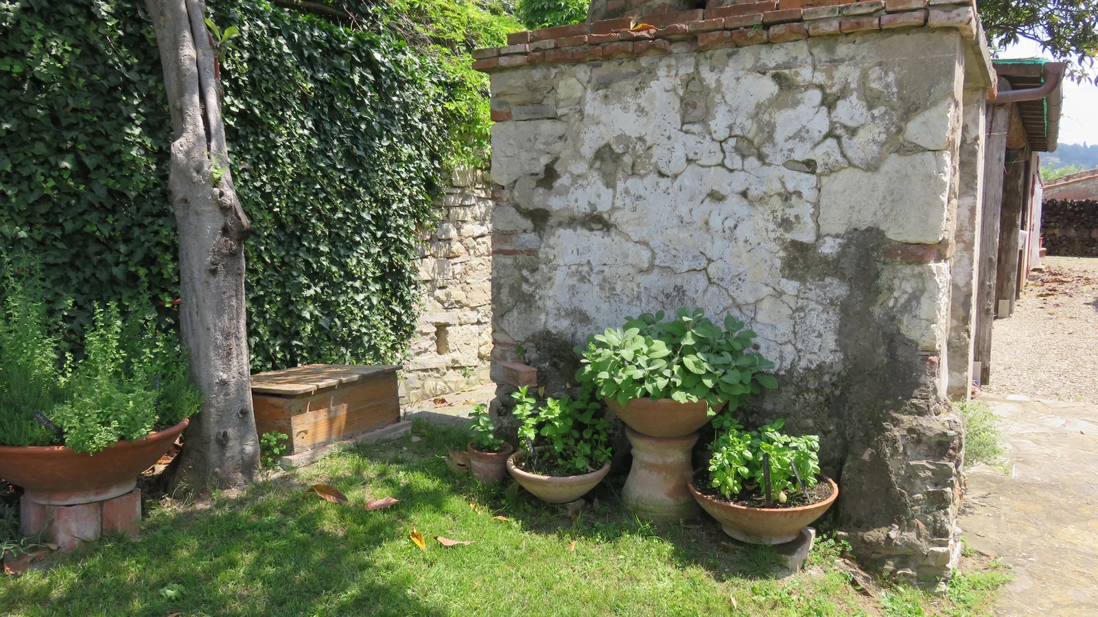 garden_herbs.jpg