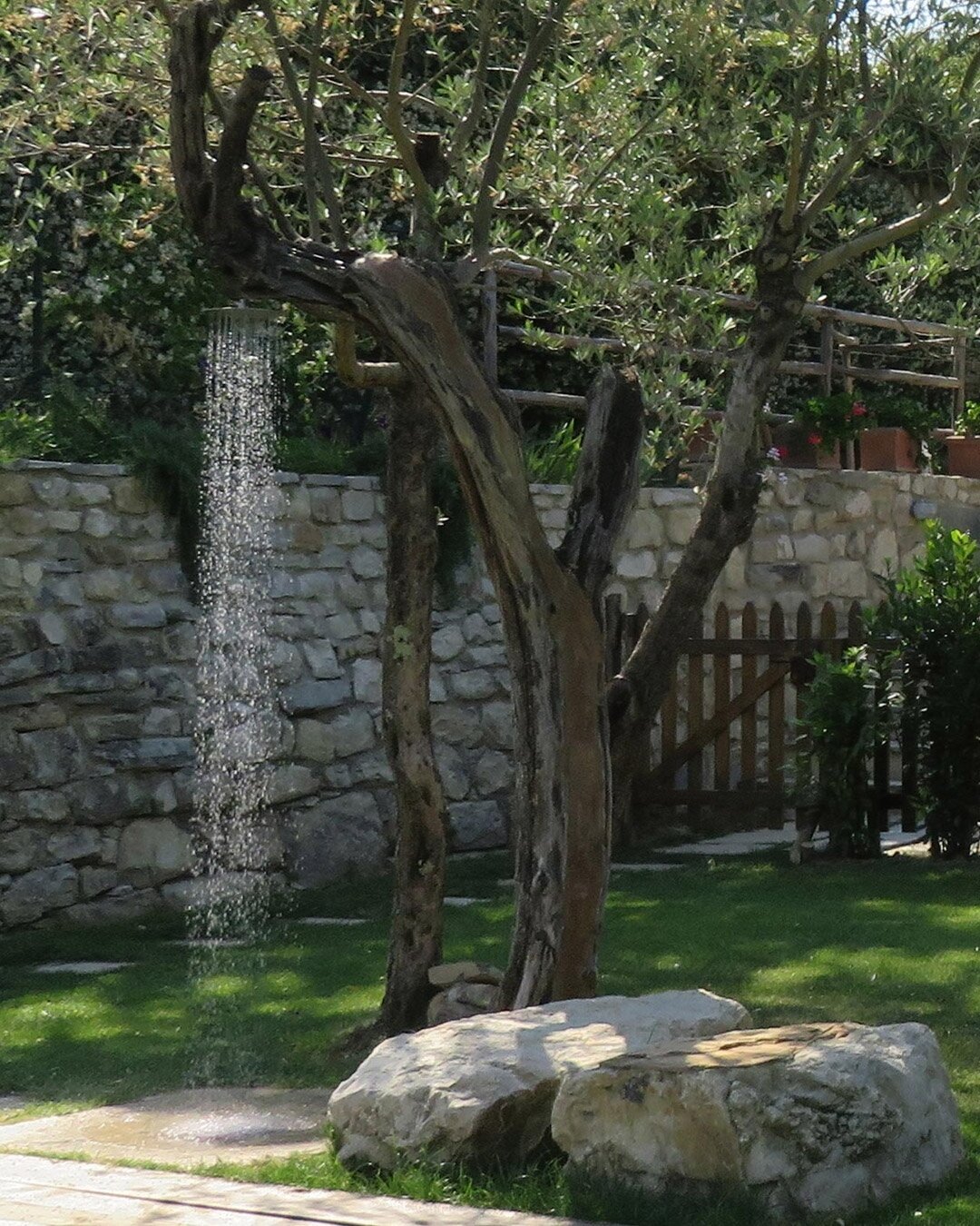 The shower hidden in the olive tree.⁠
⁠
⁠
⁠#italytravel⁠
⁠#tuscany⁠
⁠#florence⁠
#torredisopra⁠