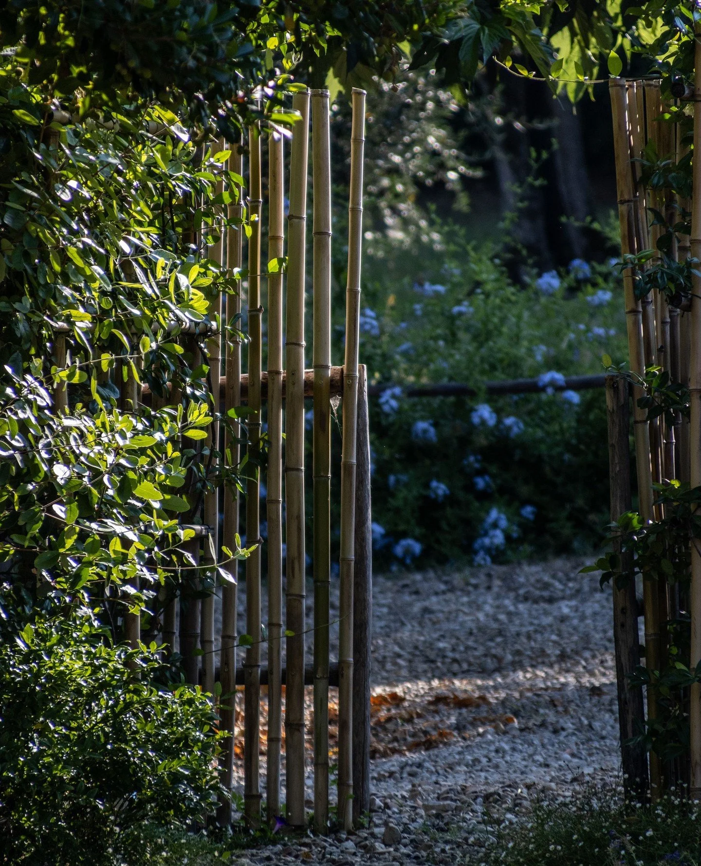 Come on in&hellip; the garden&rsquo;s always happier with company 🌿 There&rsquo;s a quiet corner for everyone here, whether you&rsquo;re wandering or lingering a little longer! ✨⁠
⁠
⁠
#JanesGarden #TuscanGarden #GardenMoments #GardenWelcome #QuietCo