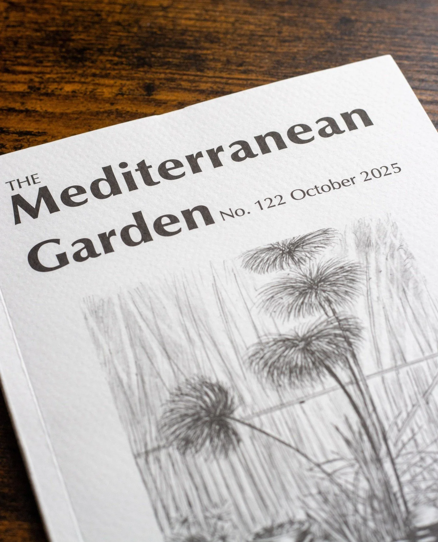 I&rsquo;m delighted to share that the story of Torre di Sopra and its garden is featured in the October issue of The Mediterranean Garden Magazine 🌿🏛️⁠
⁠
From an 11th-century watchtower and long-neglected olive groves to a garden shaped by renewal,