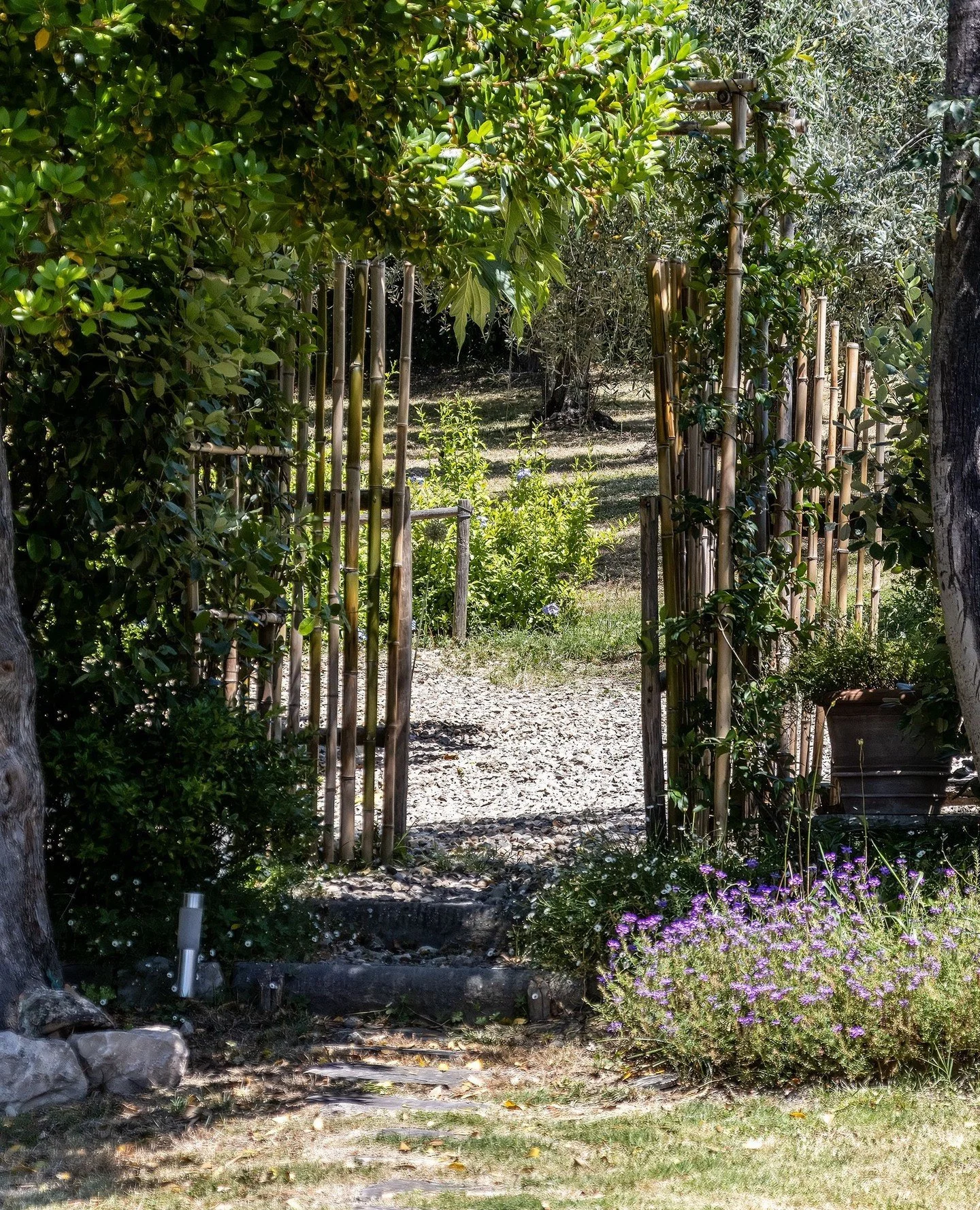 The bamboo gate, softened by a jasmine arch, marks the gentle boundary between the private garden and the parking area 🌿⁠
⁠
The bamboo grows wild here and weathers beautifully, forming a simple, protective screen, while the jasmine adds height and s