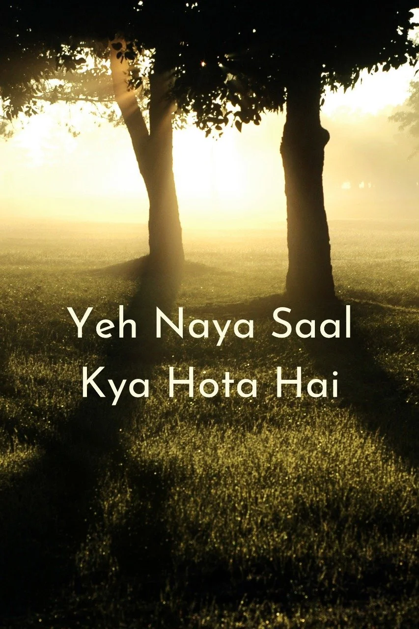 Bubbles Kandhari-Yeh Naya Saal Kya Hota Hai