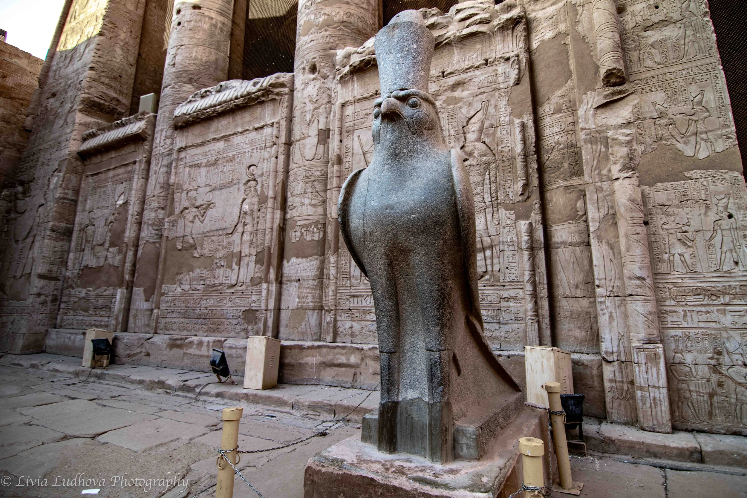 Granite statue of Horus the Falcon at the Temple of Edfu, guardian of the sanctuary and embodiment of divine kingship, standing watch against walls dense with ritual reliefs and hieroglyphs.