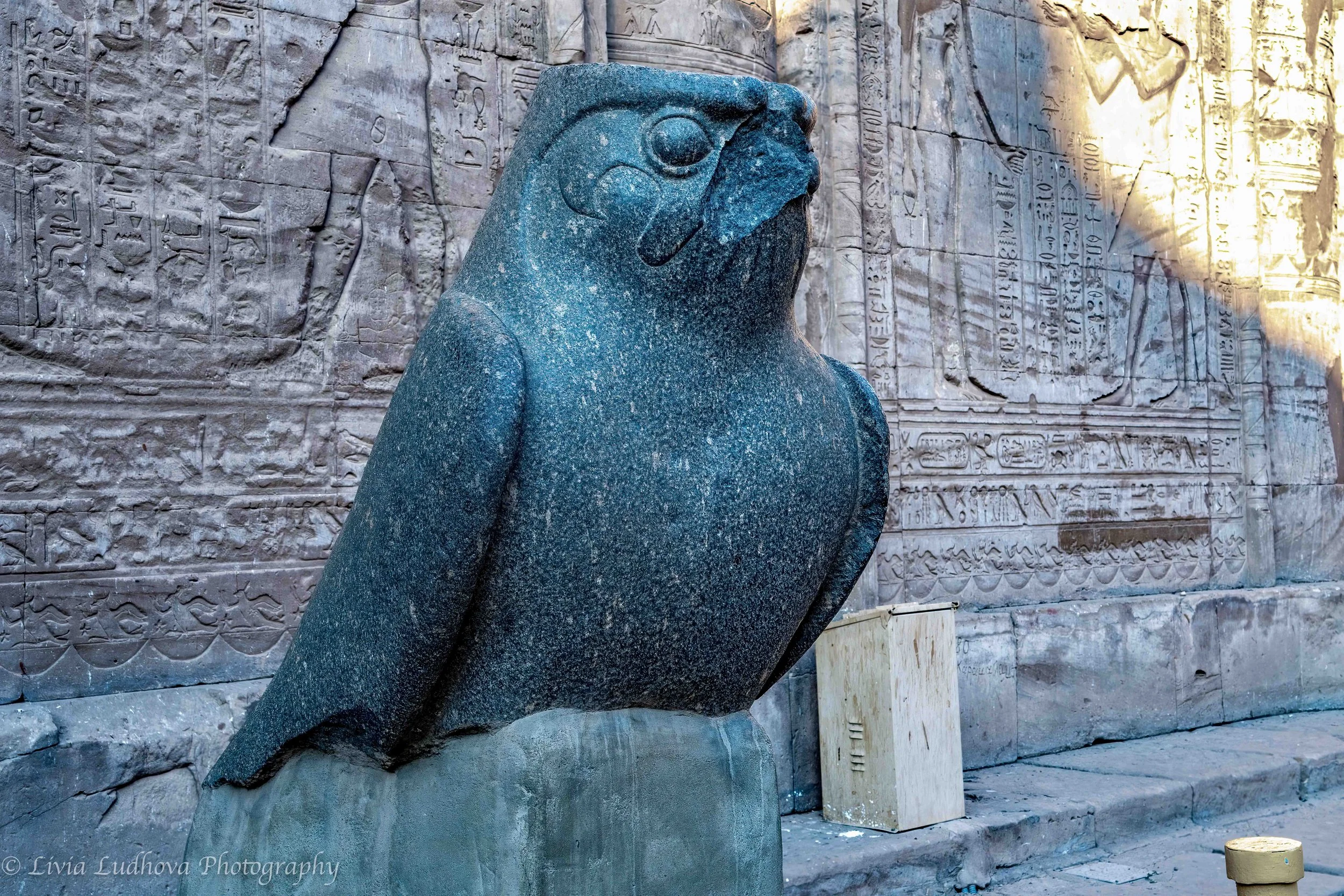Horus the Falcon, uncrowned — guardian of the Temple of Edfu, shown in his timeless divine form rather than as a ruling king.