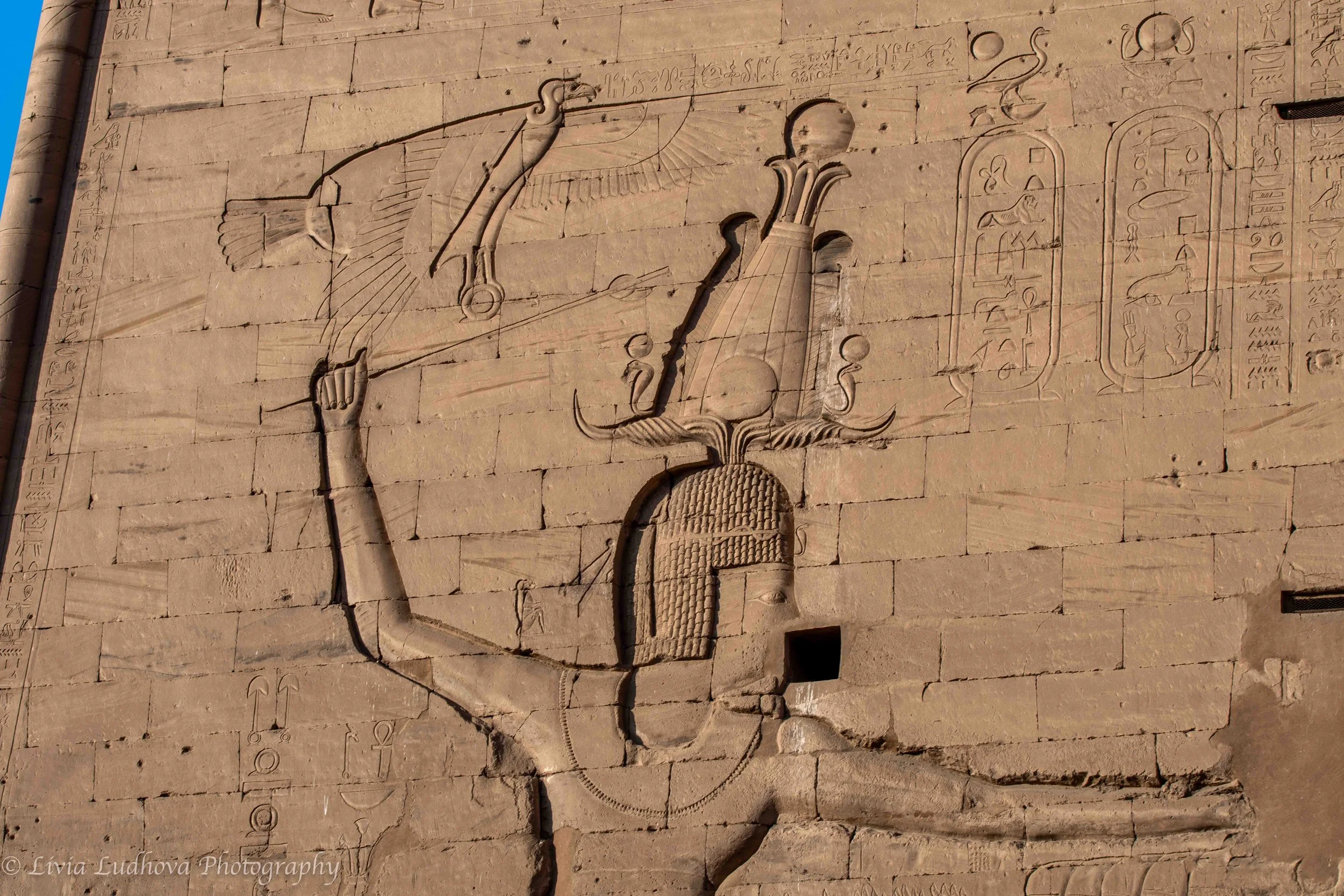 Detail of the figure of the Ptolemaic king, Horus on the Earth.