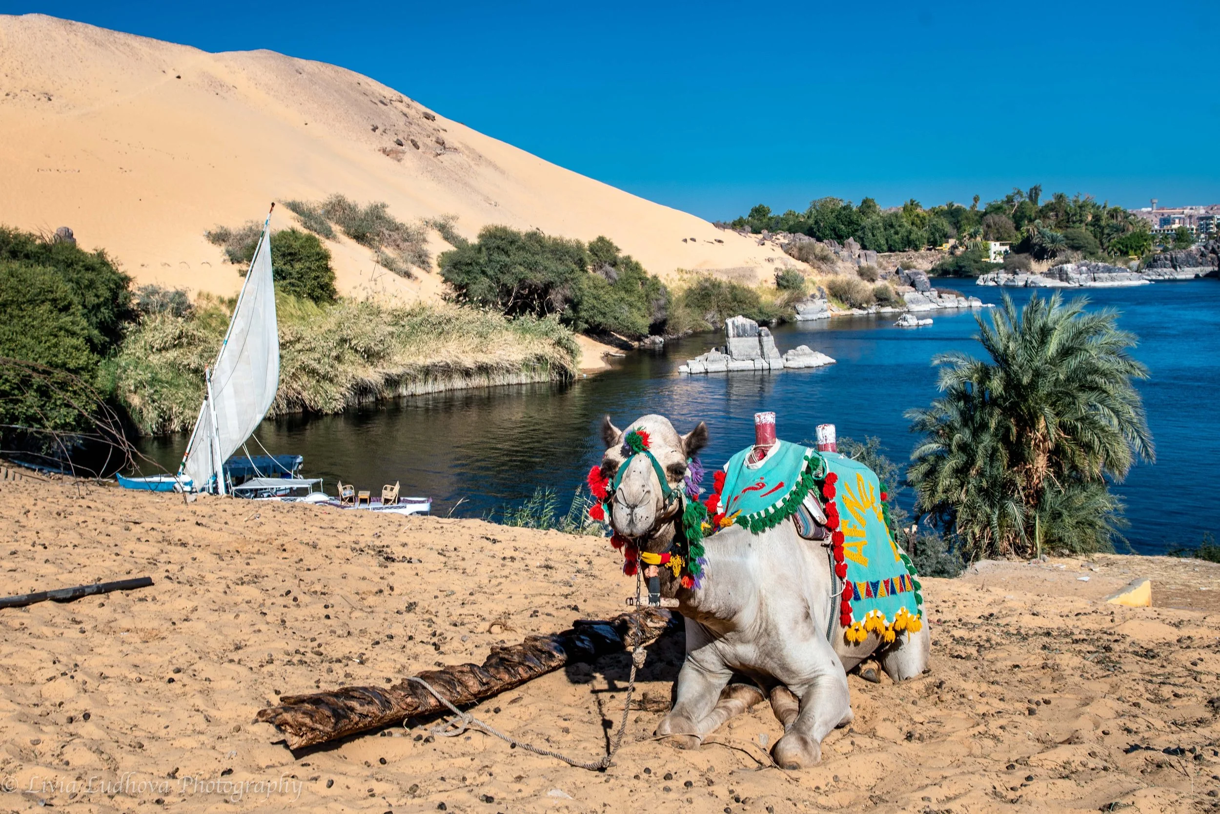And here at the camel parking lot I exchange came for a small boat that brings me to the amasing Botanical Garden on the island.