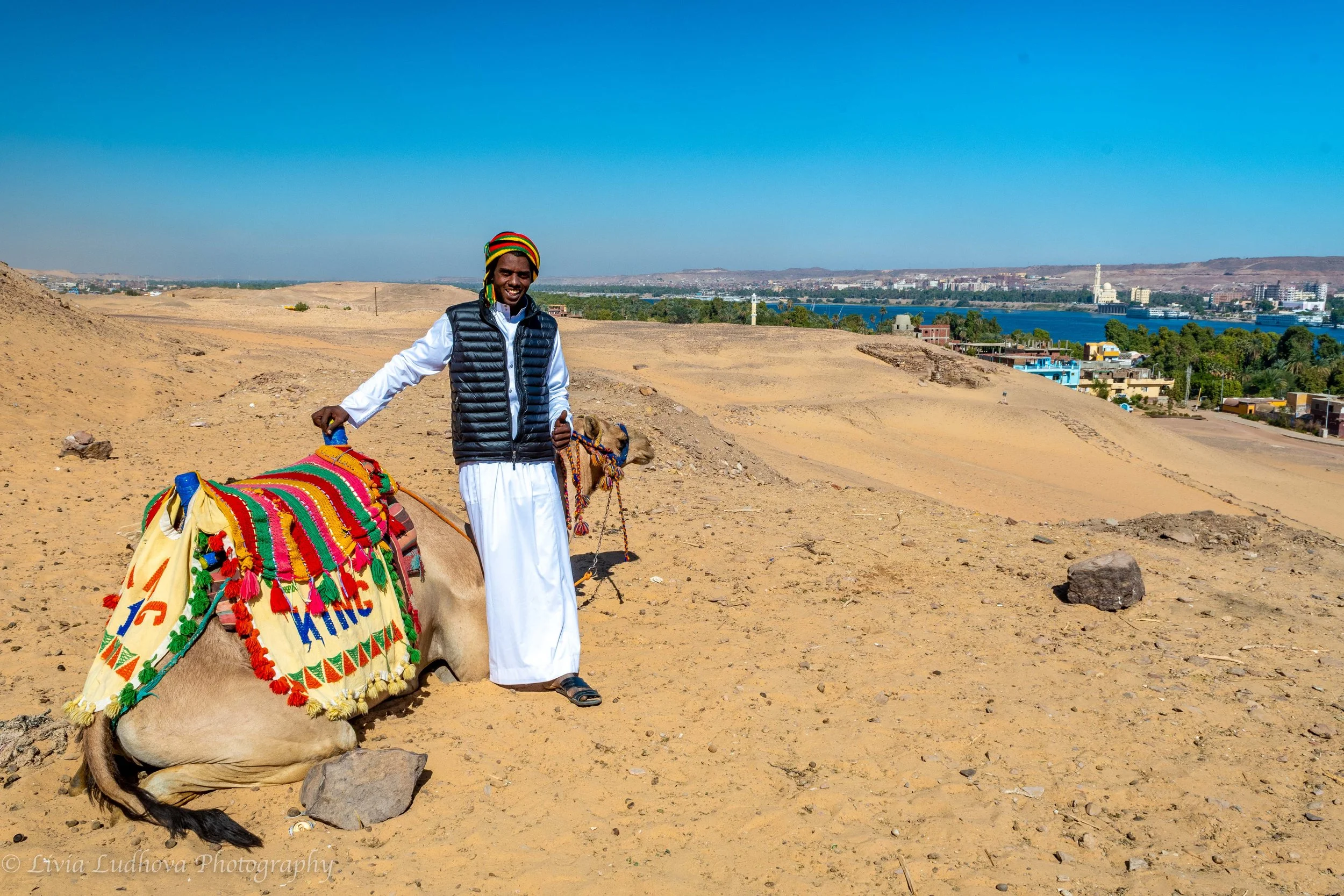 Camel waiting for me to reach St. Simeon Monastery.