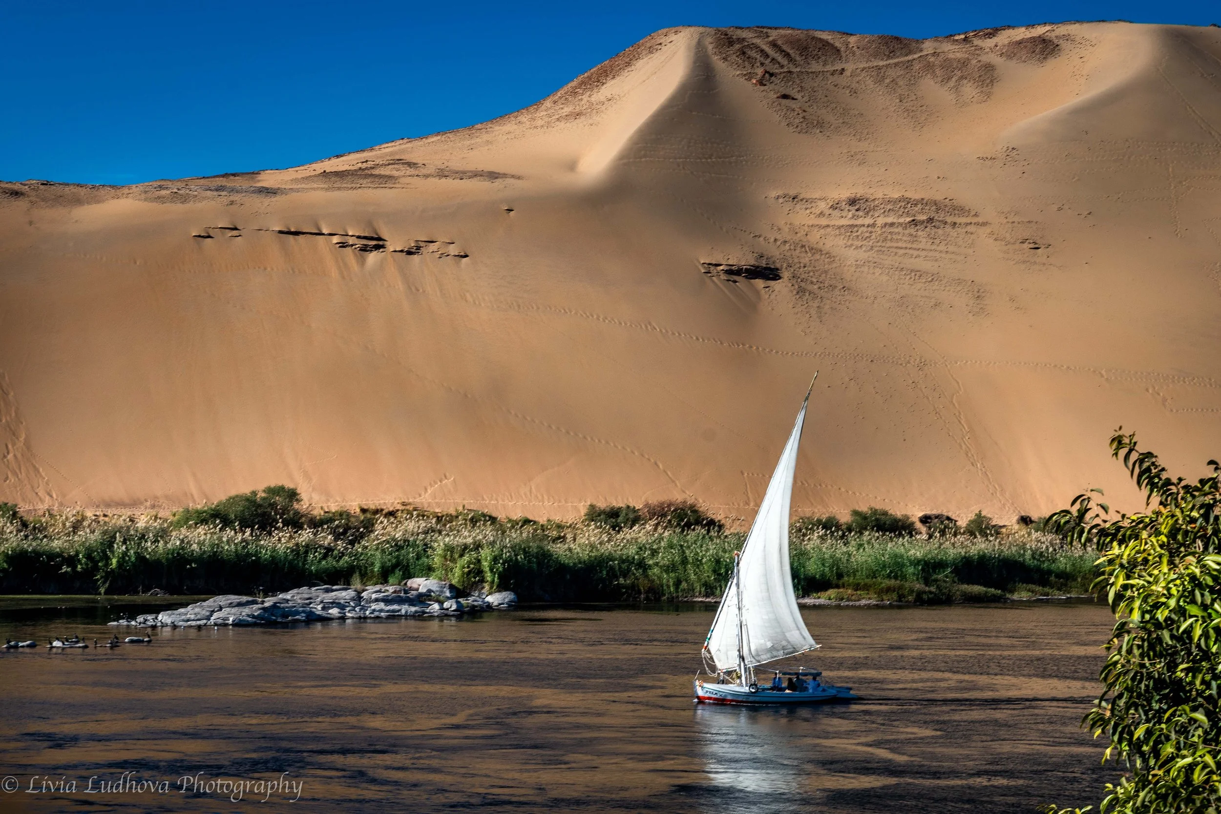 Clean view of the white felluca, golden dune, lush greens and blue Nile.