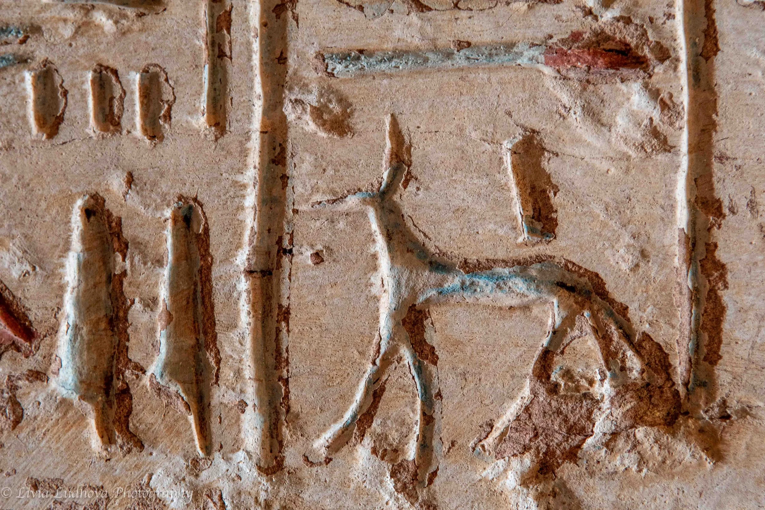 Hieroglyphic signs with traces of blue pigment.