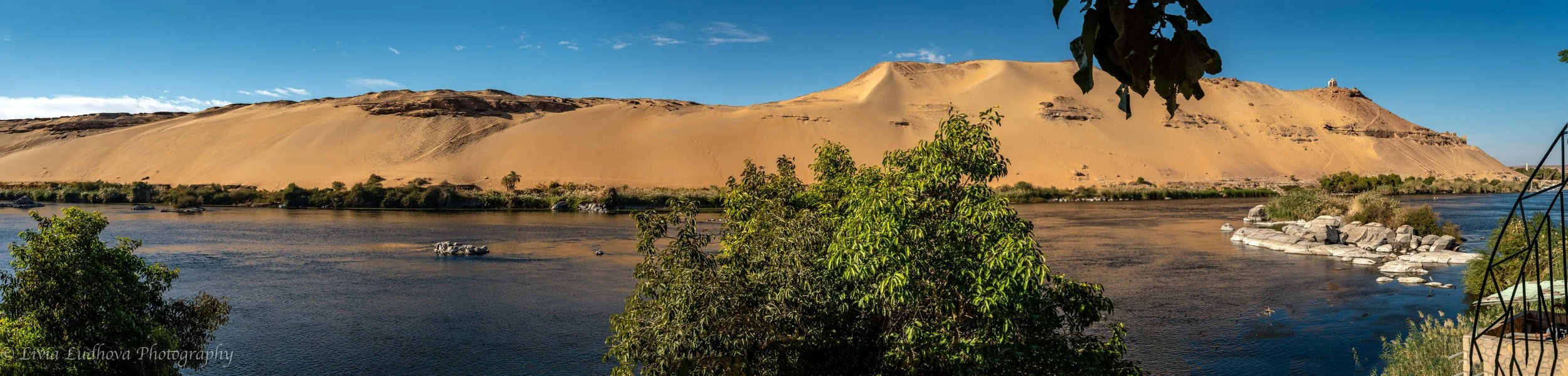 What to add..... view from the botanical garden.