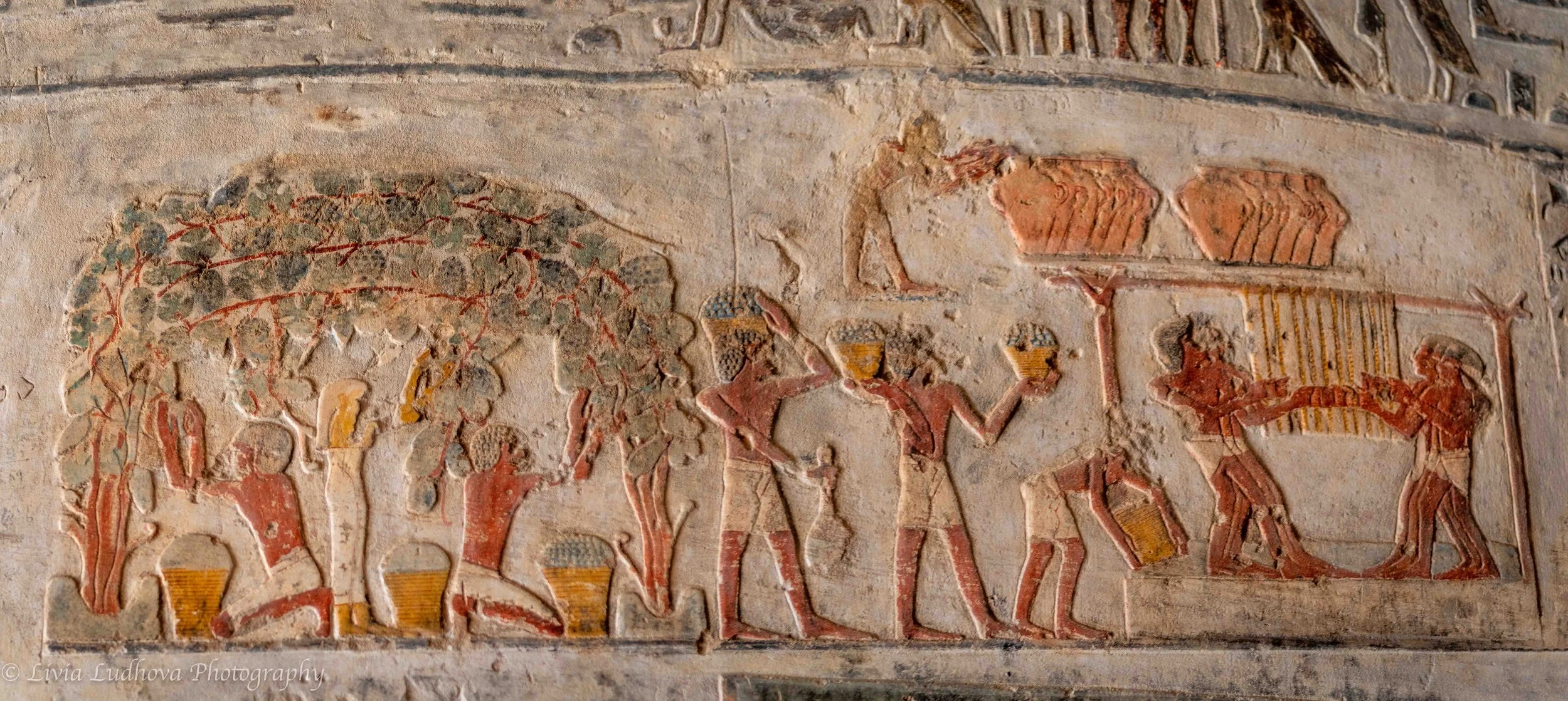 Agricultural and provisioning scene, El Kab — figures harvesting and presenting produce, emphasizing sustenance, renewal, and continuity in the afterlife.