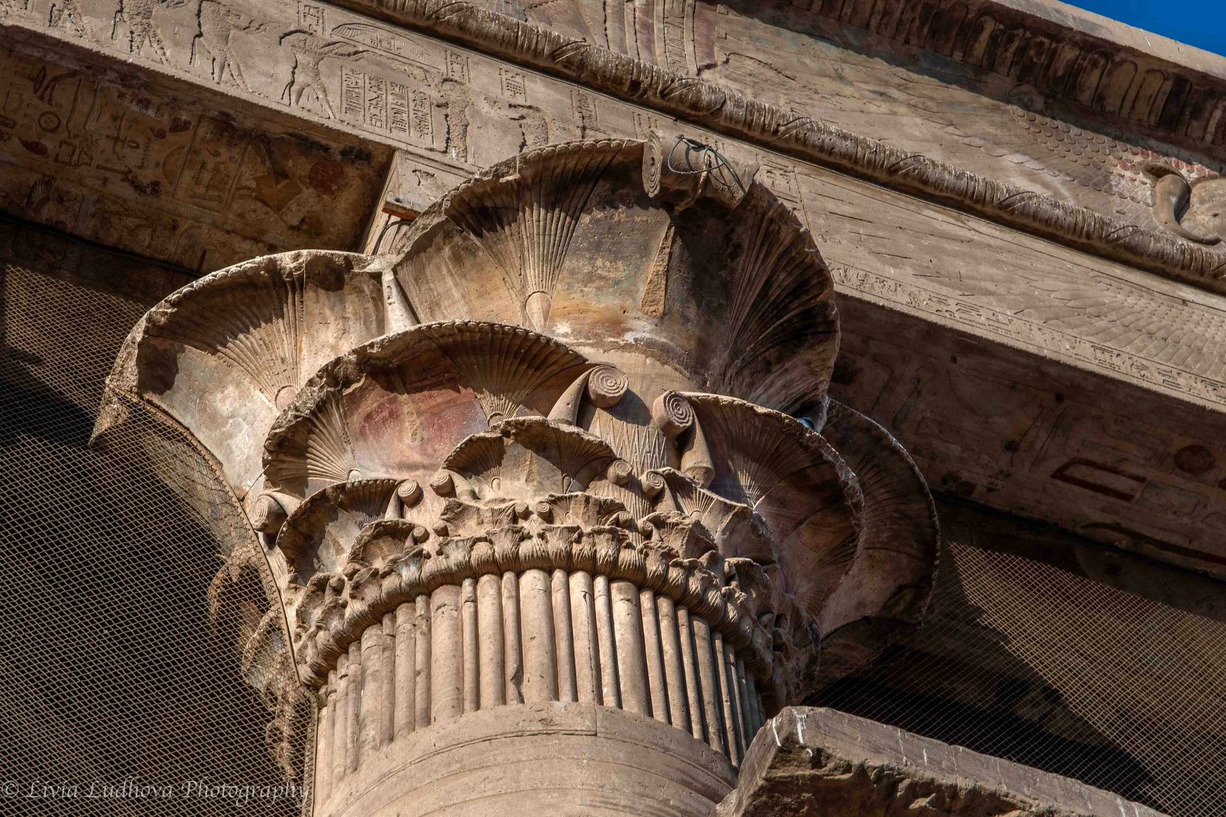 Lotus and papyrus capital crowning a column at the Temple of Edfu, its carved vegetal forms symbolizing regeneration and the unity of Upper and Lower Egypt beneath layers of ritual inscriptions.
