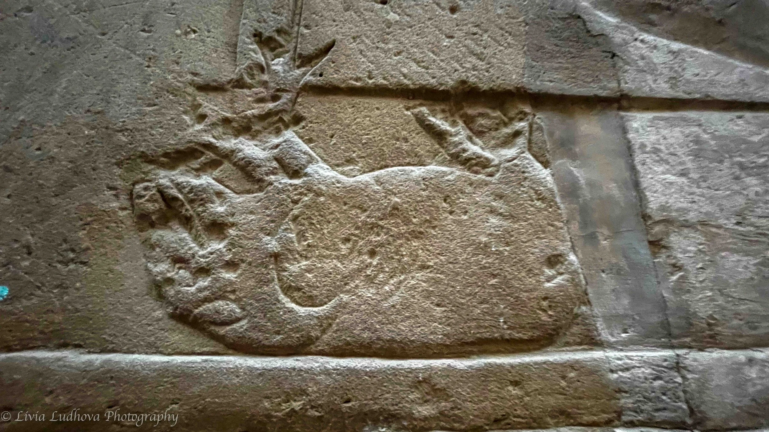 And here chaos is defeated.....