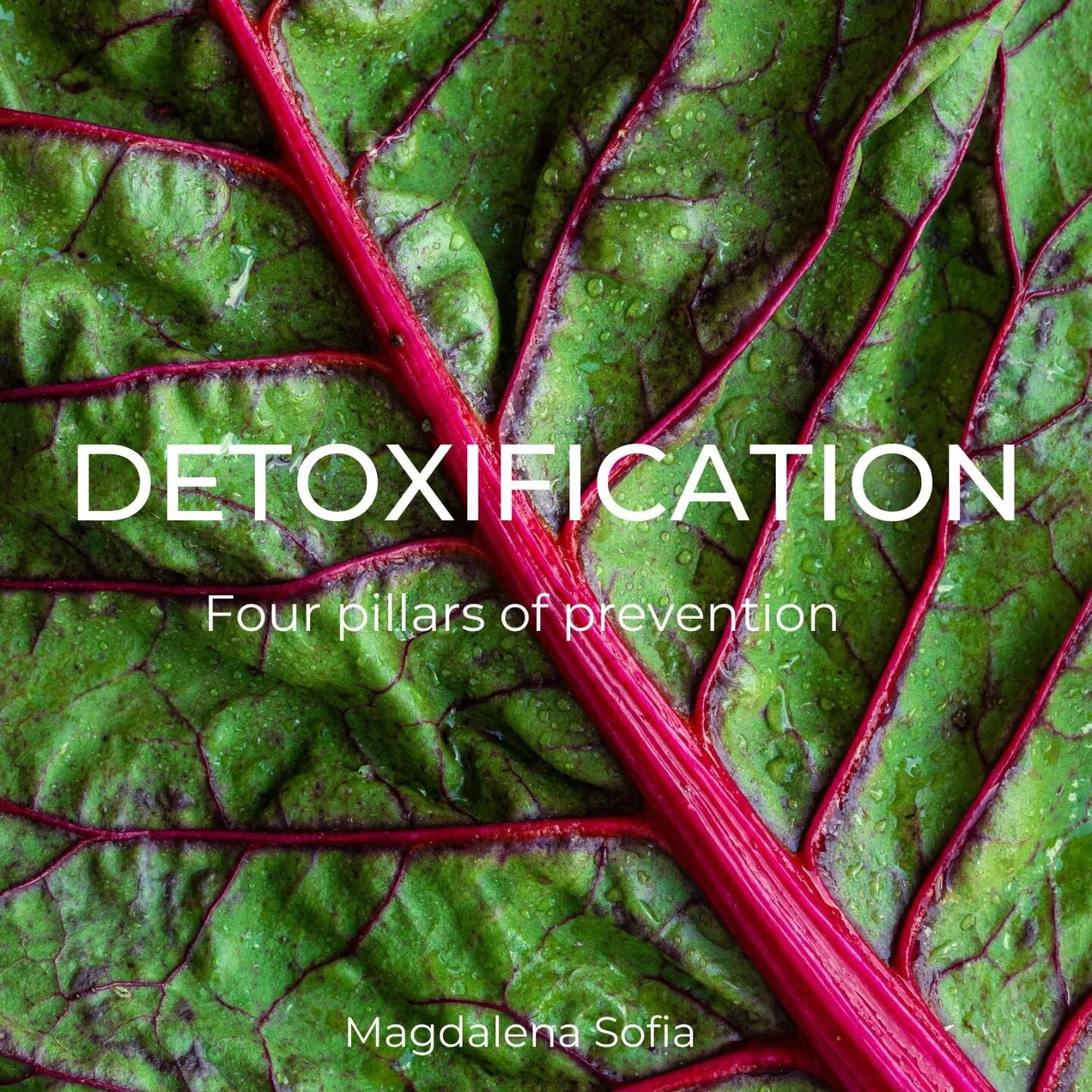 There are 4 pillars of prevention in health; in previous posts I talked about three of them: antioxidants, essential fats and the microbiome. The fourth one is detoxification. 

》All of us are exposed daily to a wide rage of toxins, both from our env