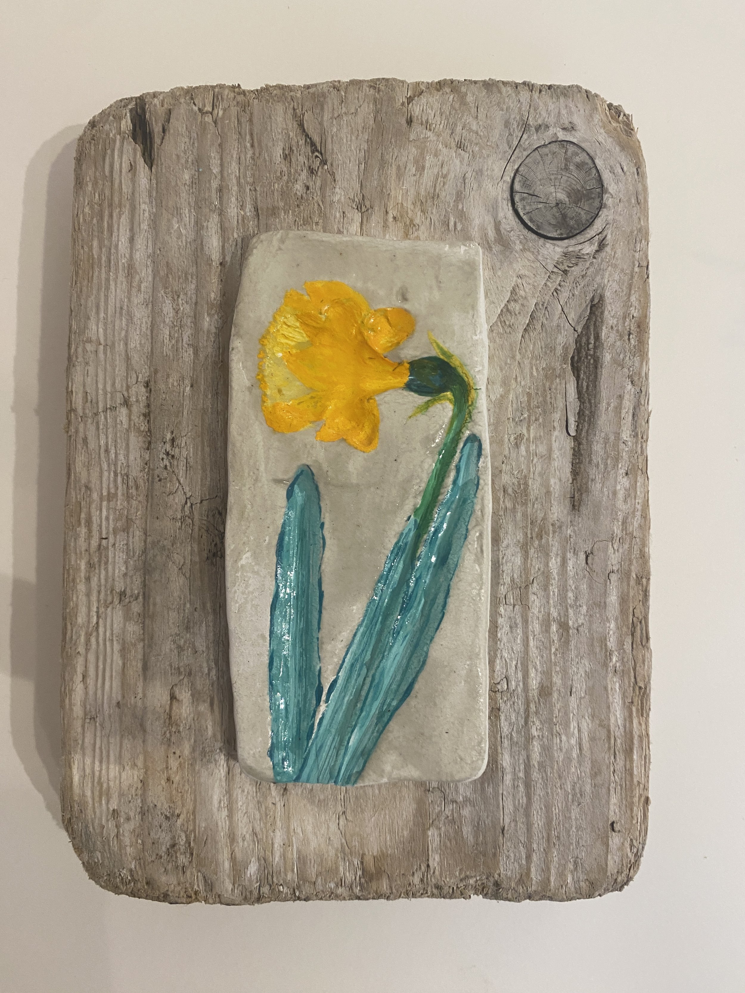 Botanical Imprinted Dry Clay Daffodil On Driftwood