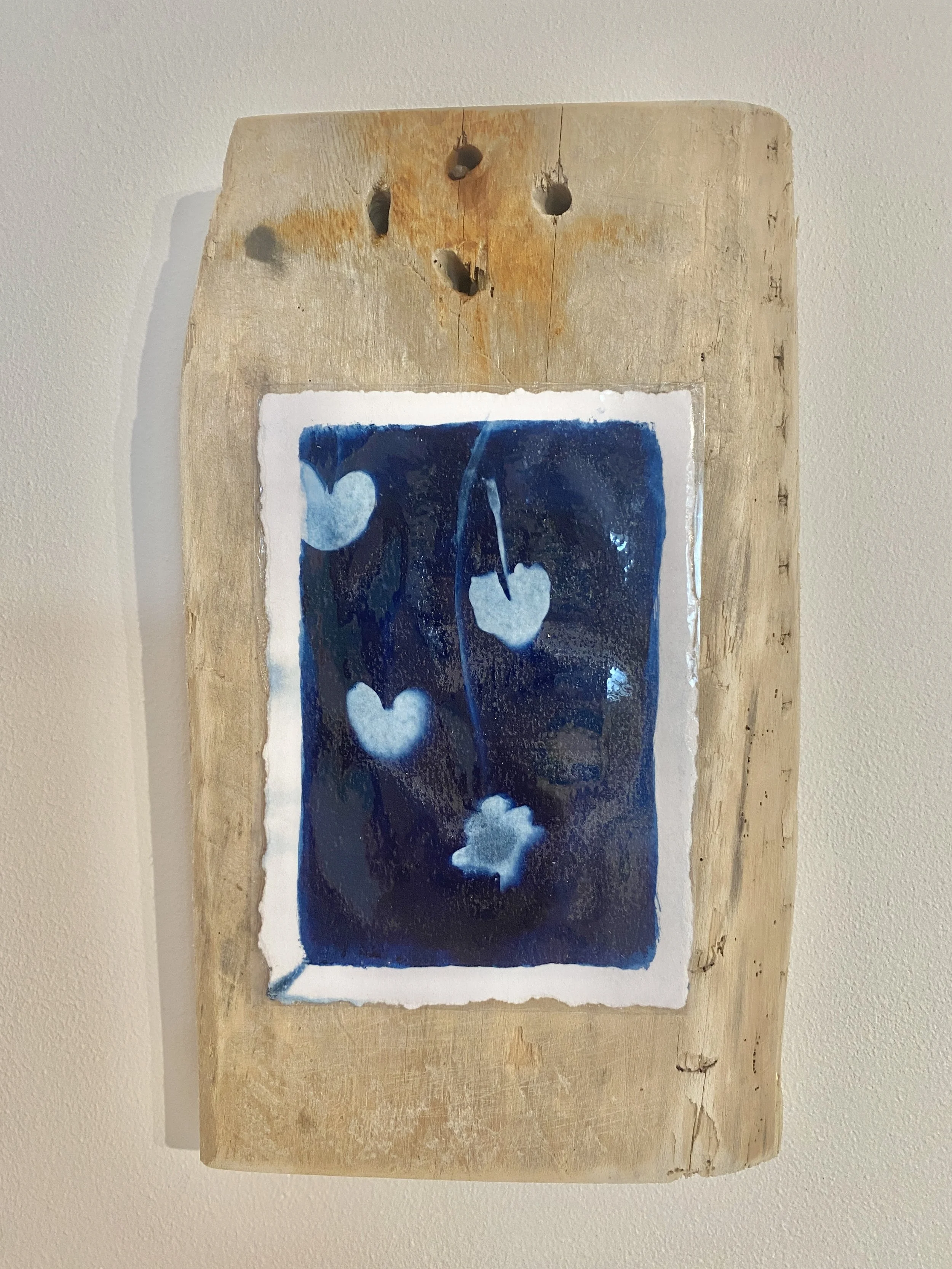 cyanotype Sun Art leaves