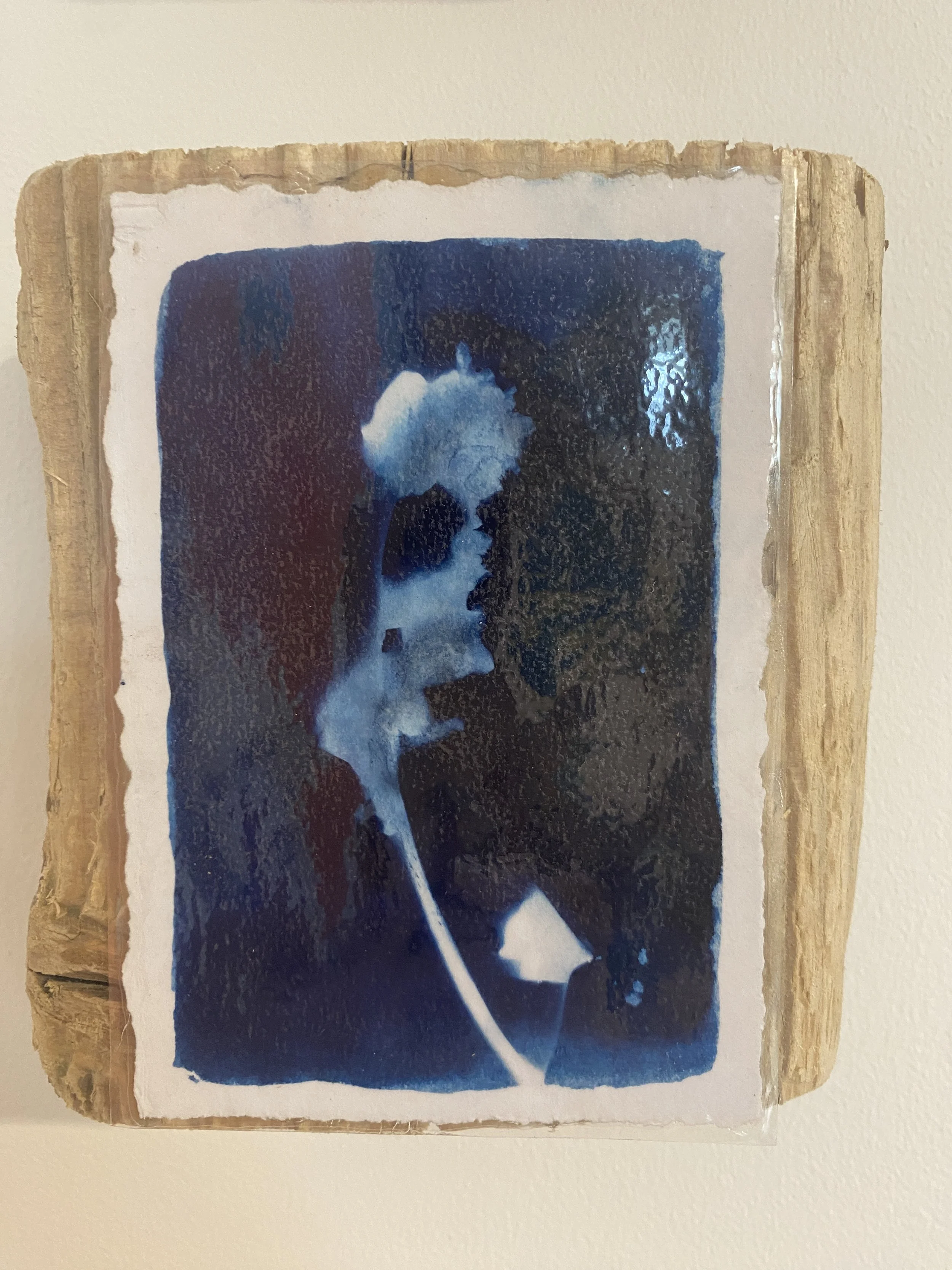 Cyanotype lady 1.JPG