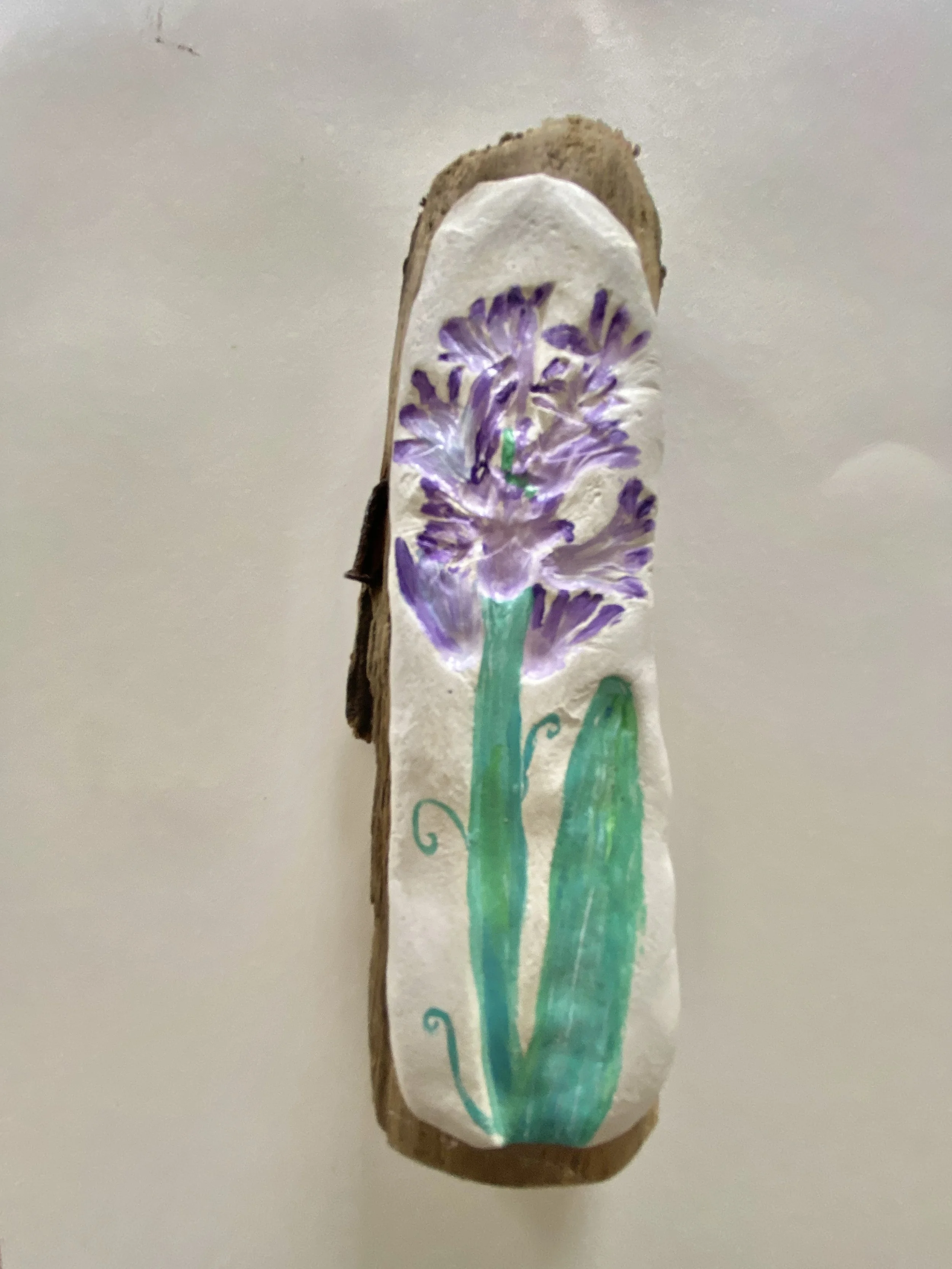 Botanical Imprinted Hyacinth Dry Clay On Driftwood