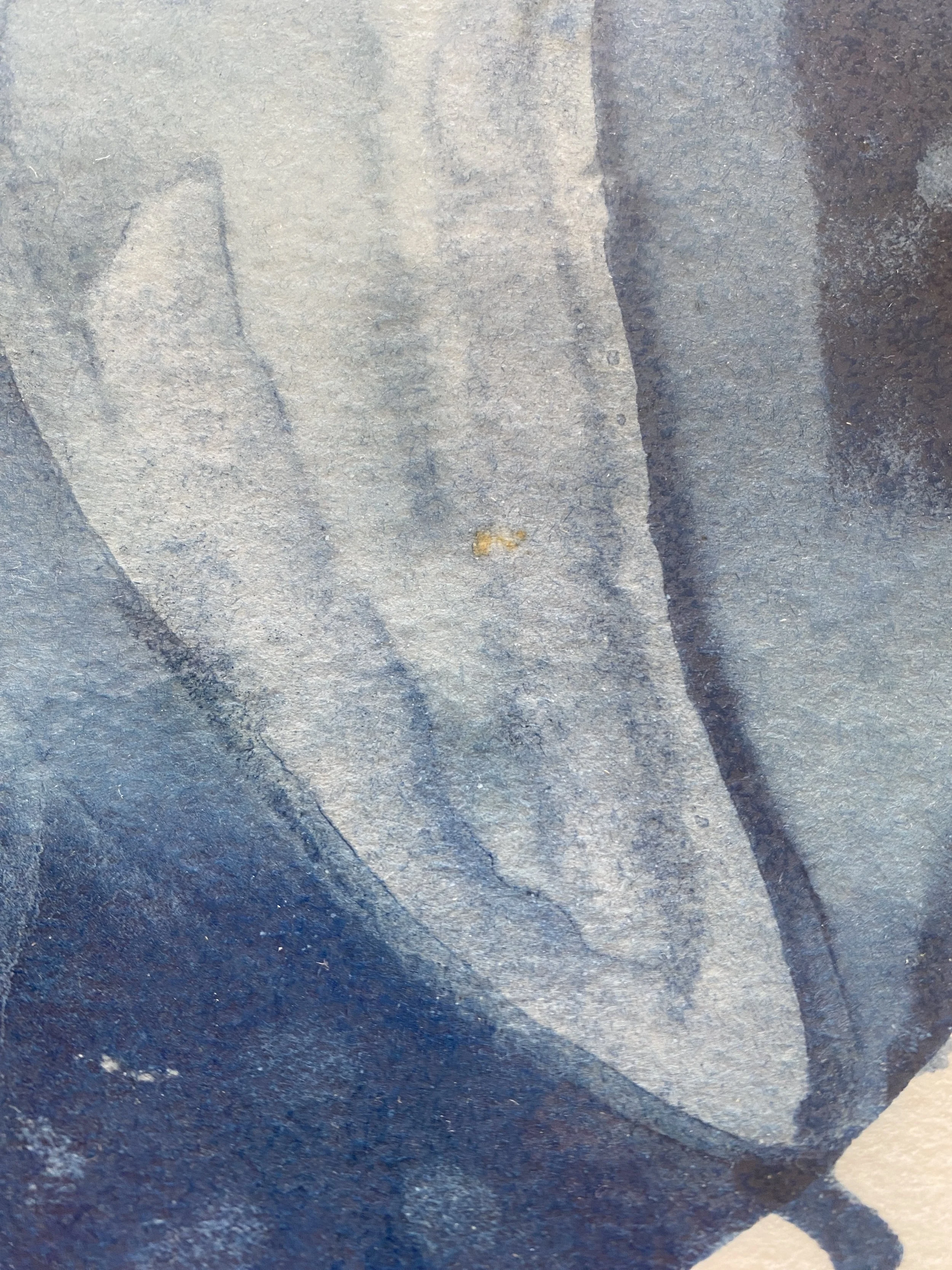 p2.JPG