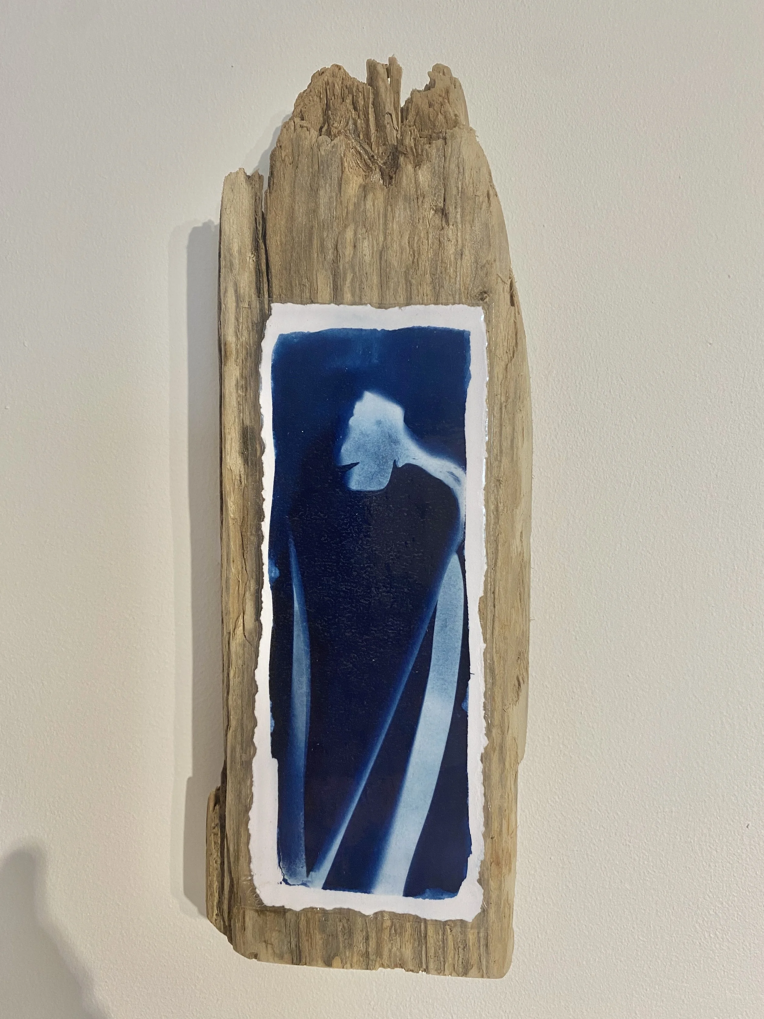 Cyanotype Sun Art Daffodil