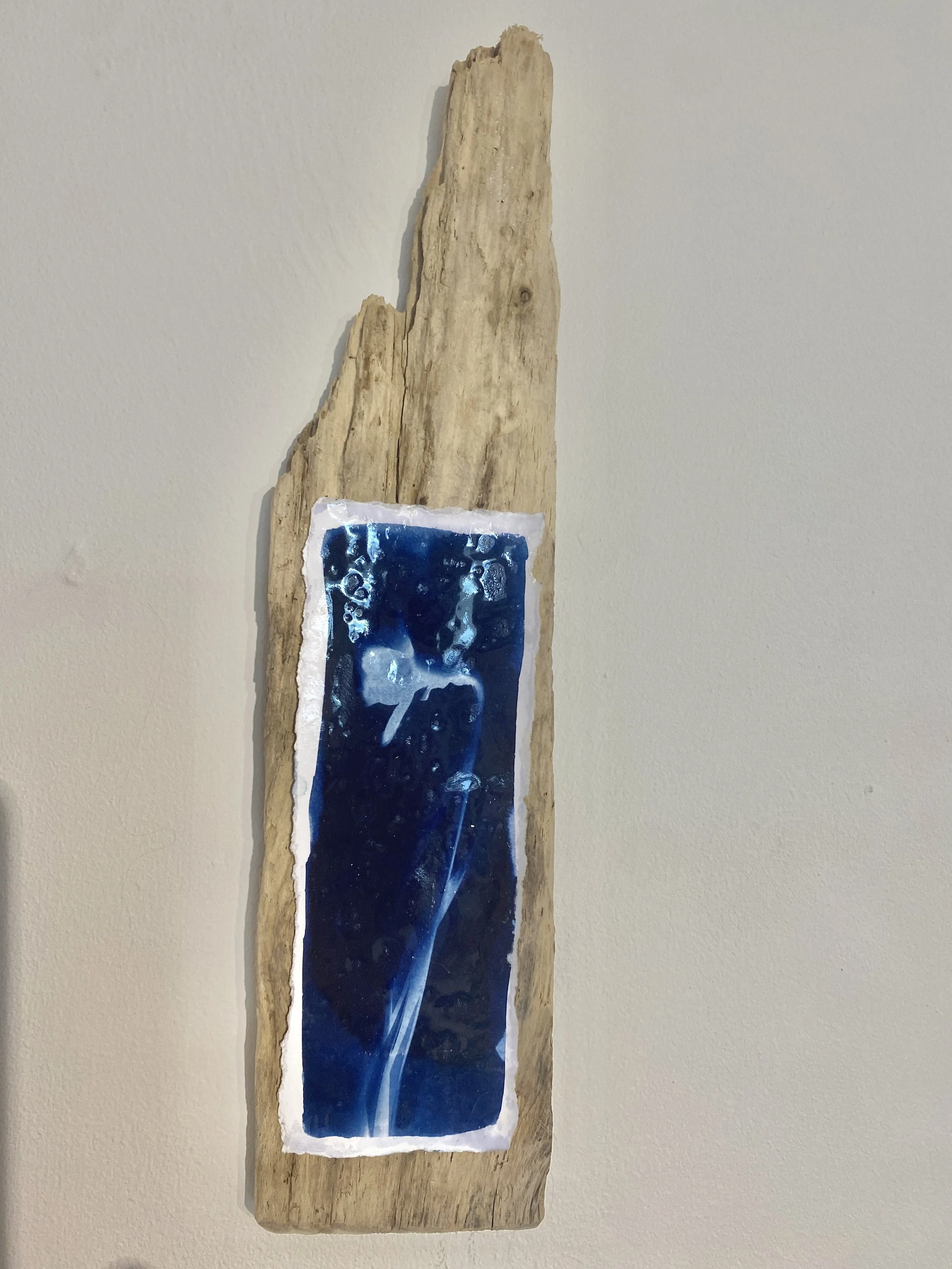 daffodil cyanotype1.jpg