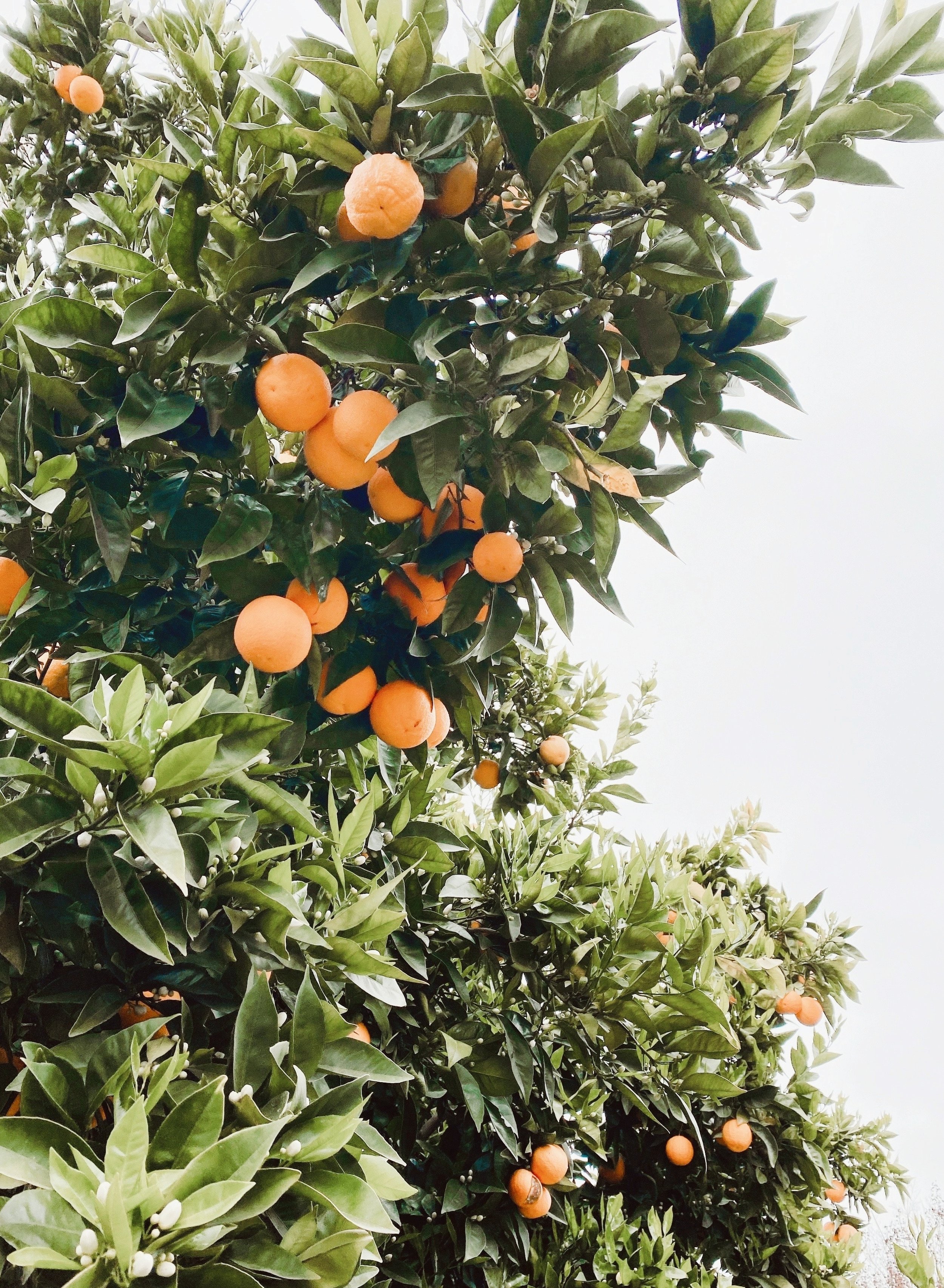 coco-tafoya-tkAr_3F-7pI-unsplash.jpg