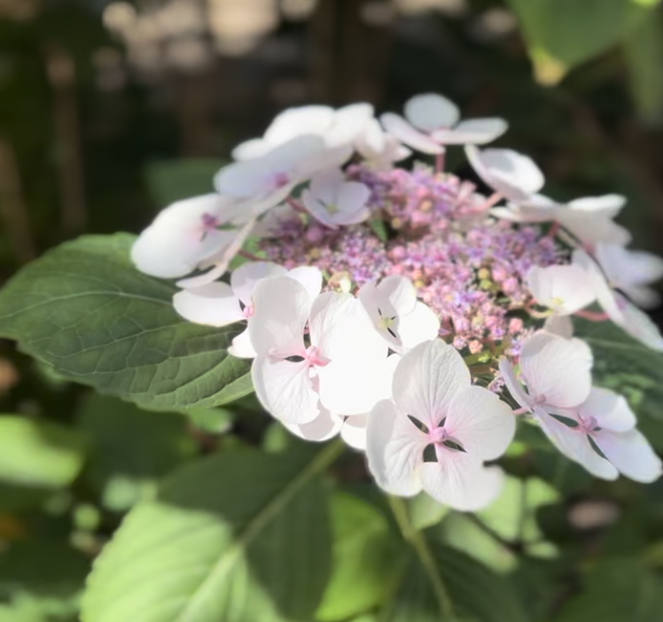 Screenshot 2025-12-19 at 14.51.31.png