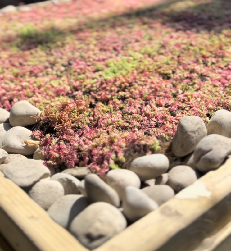 Screenshot 2025-12-19 at 14.50.43.png