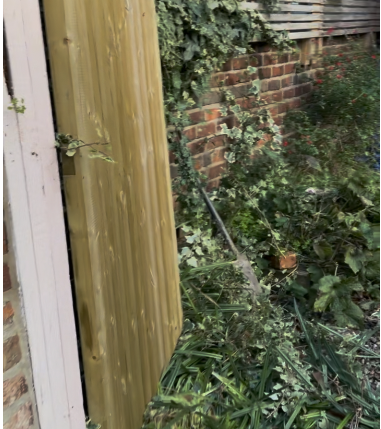 Screenshot 2025-12-29 at 11.15.53.png