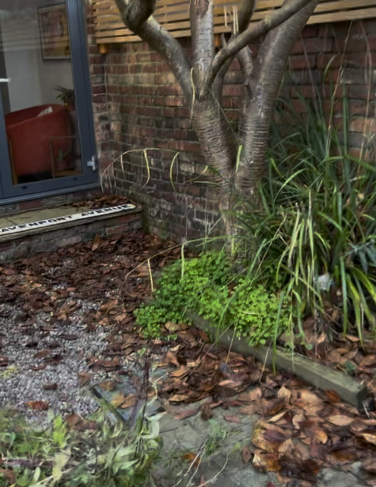 Screenshot 2025-12-29 at 11.14.43.png